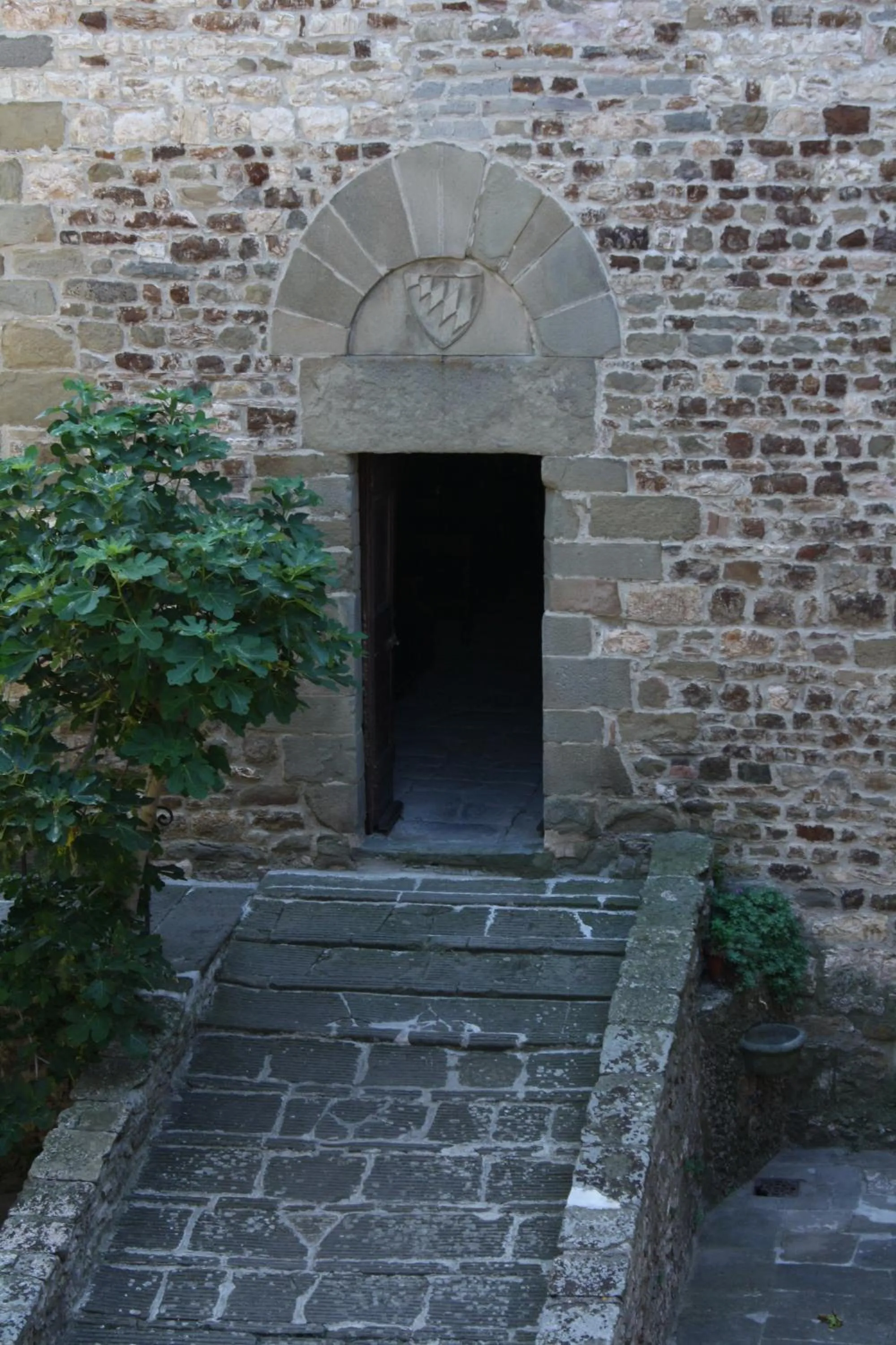 Area and facilities in Castello di Mugnana