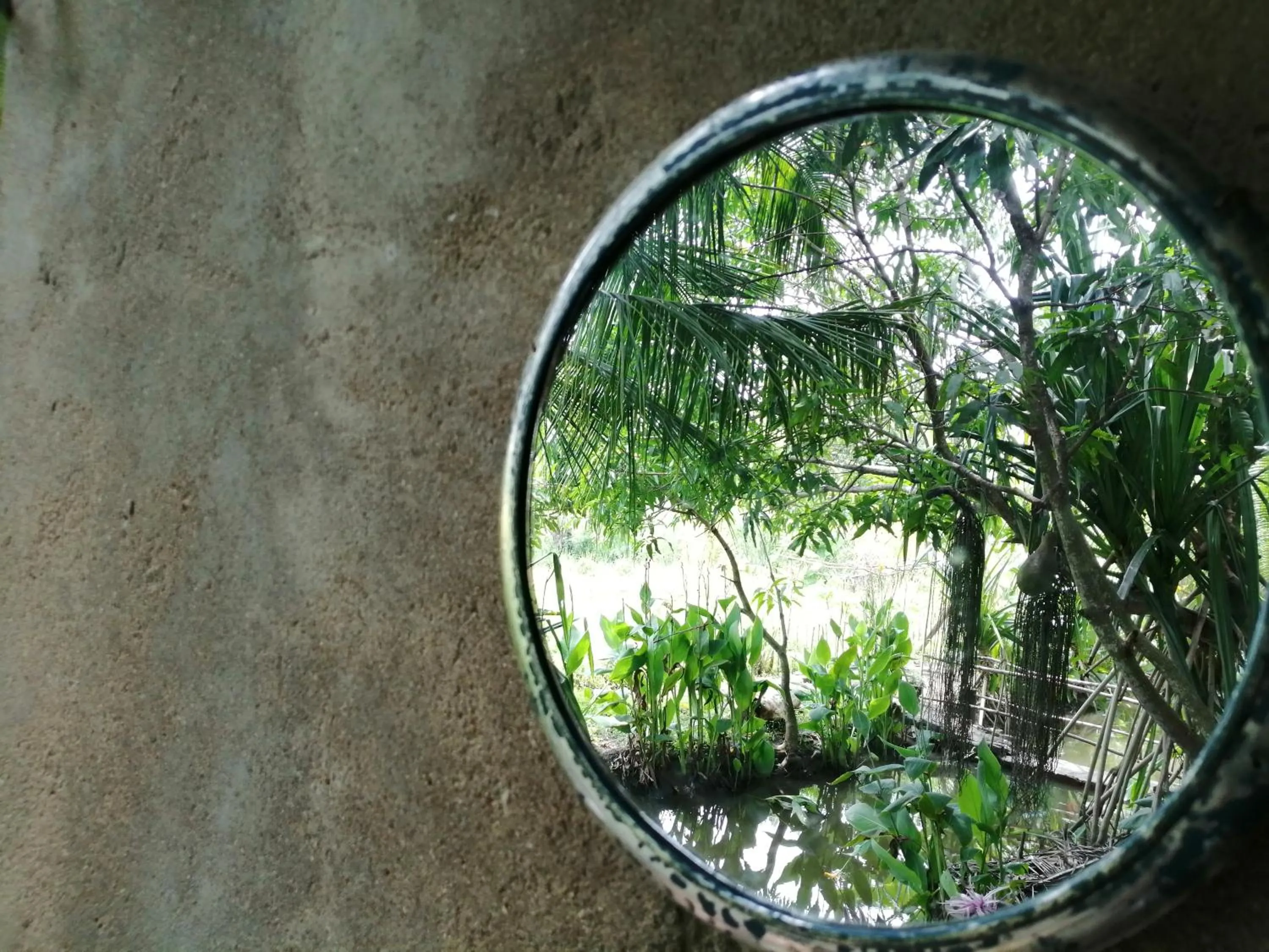 Viveka Inn Guest and Yala Safari