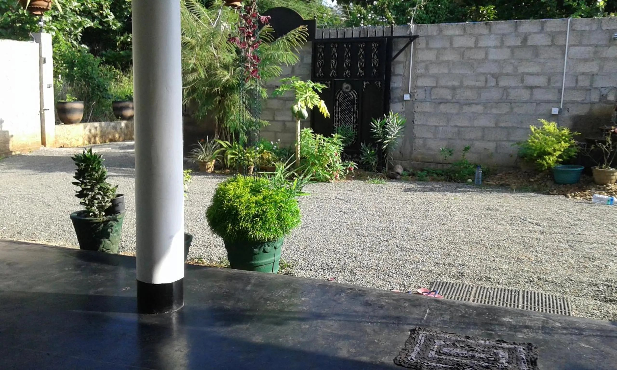 Street view in White Guest