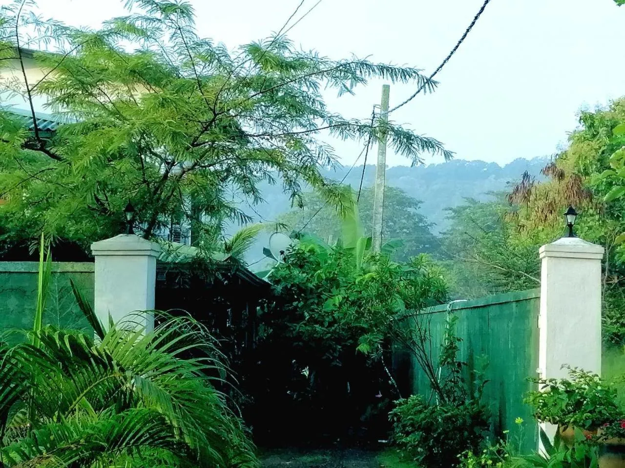 Garden in White Guest