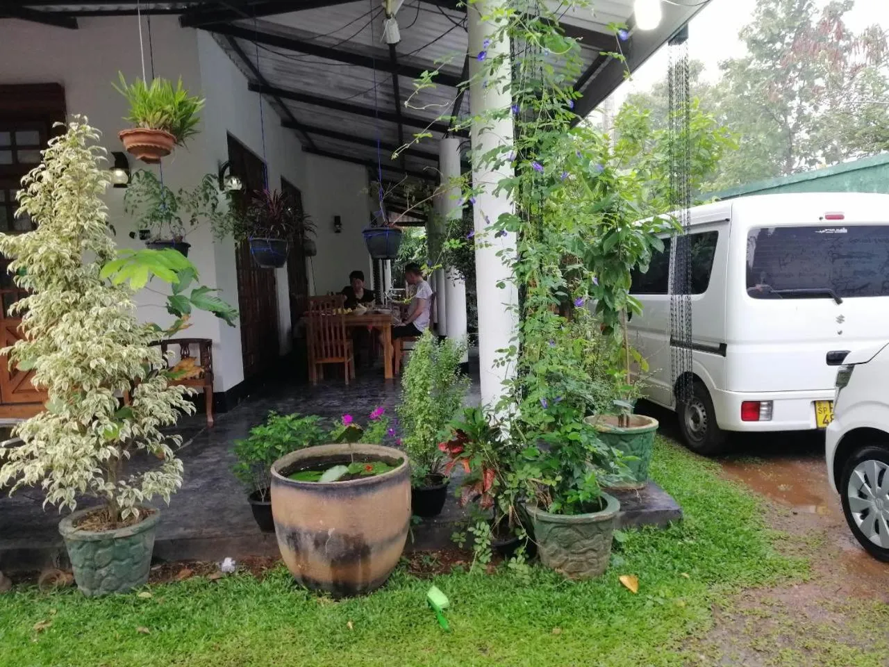 Garden in White Guest