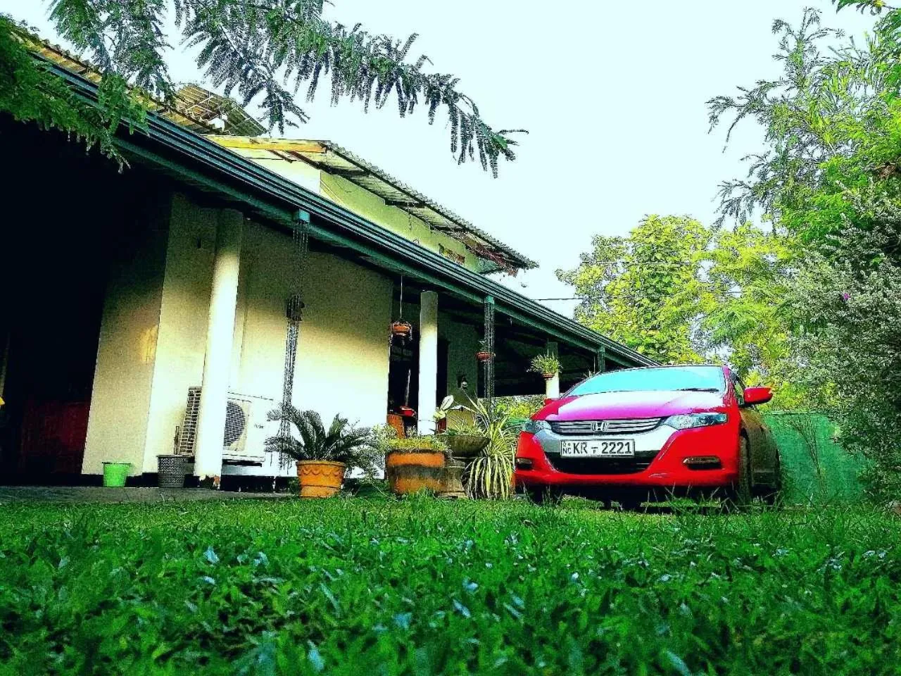 Garden in White Guest