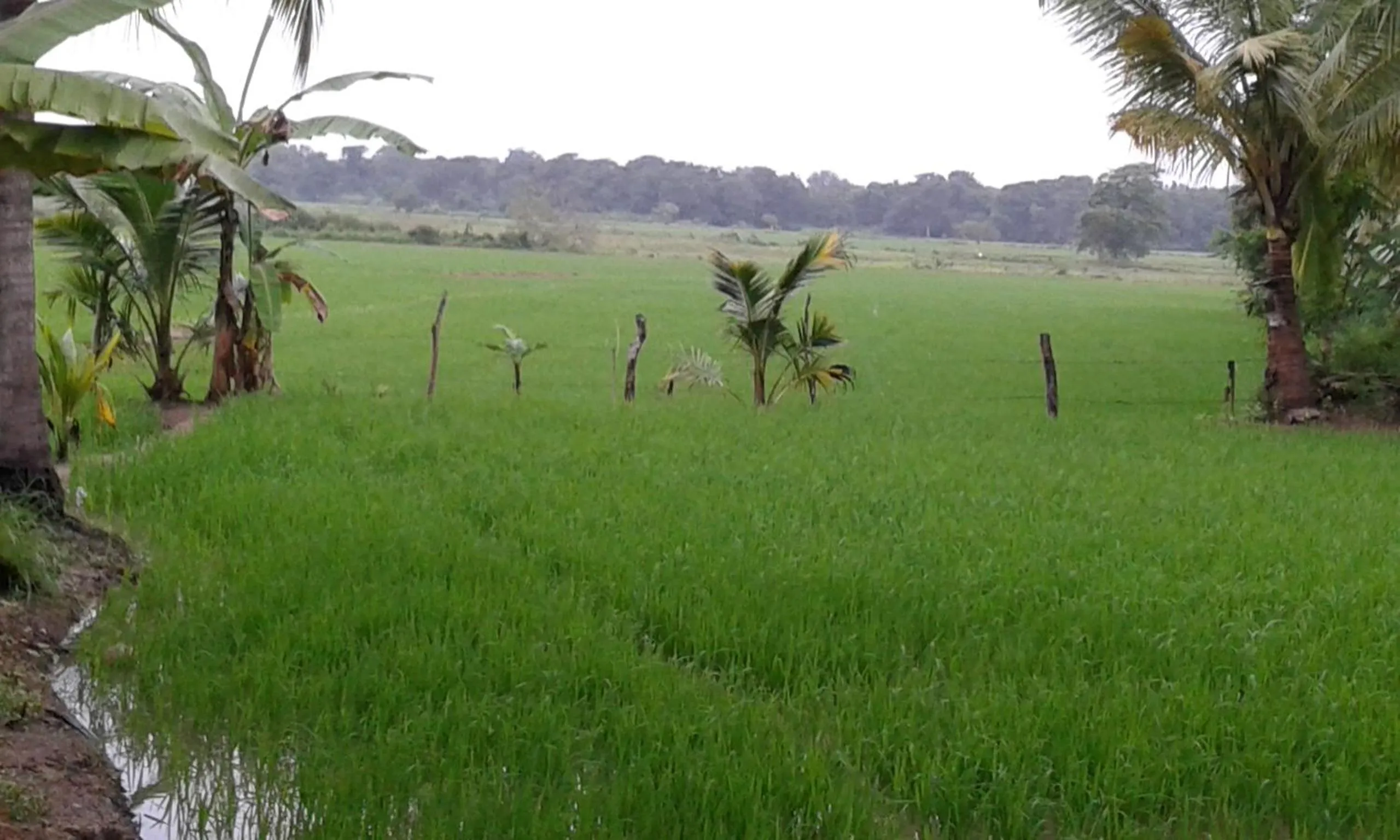 Off site in White Guest