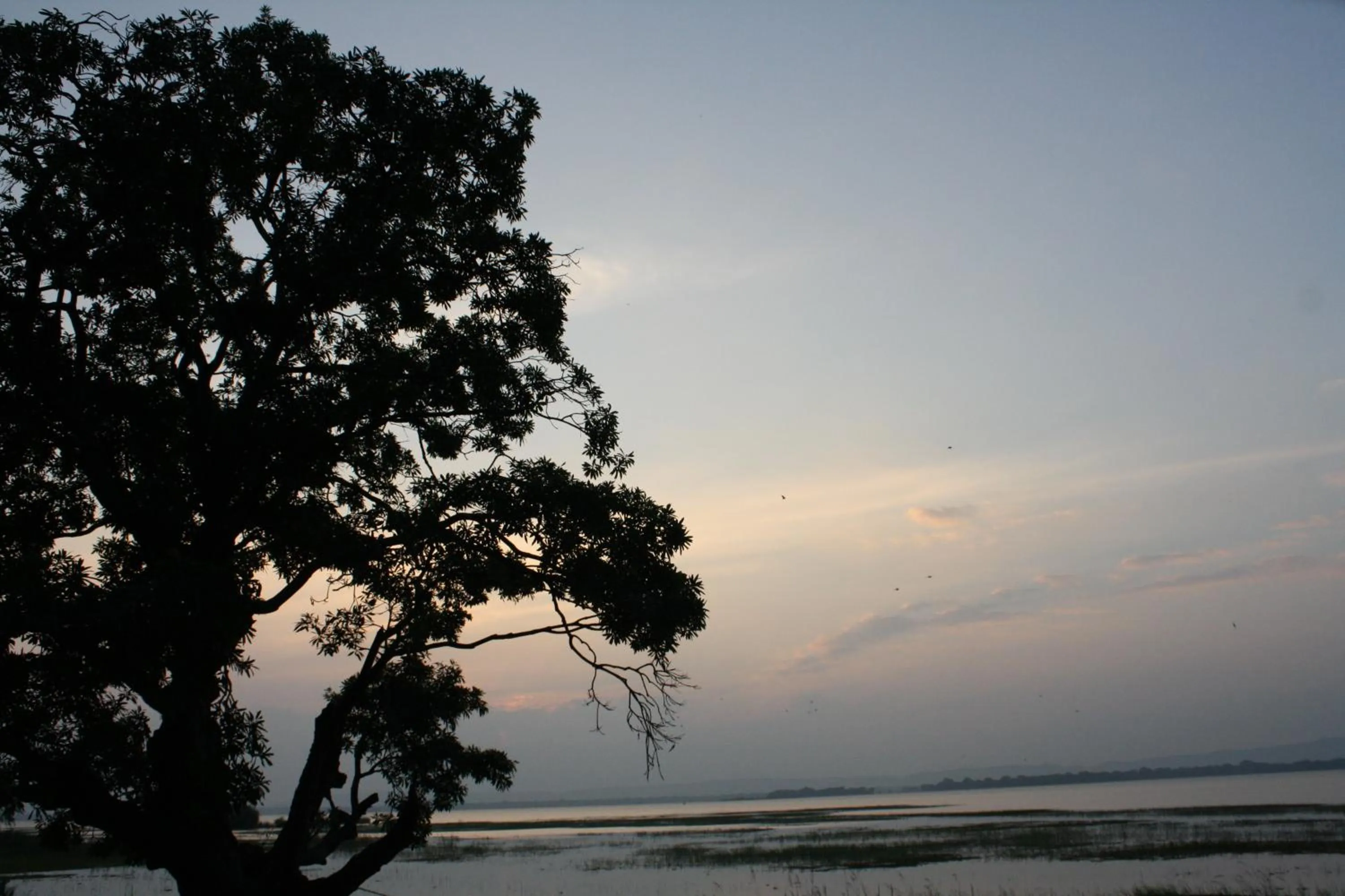 Natural landscape in White Guest