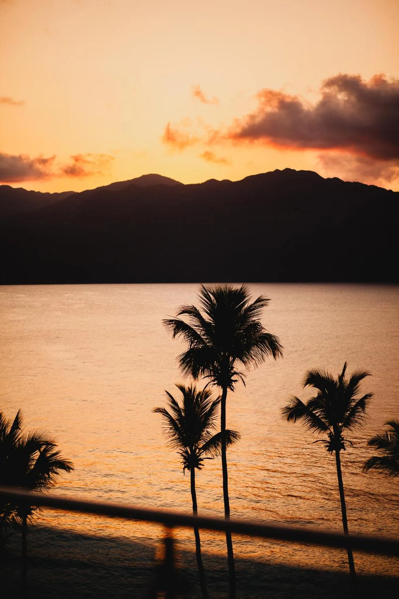 Beach in Sunset Samana