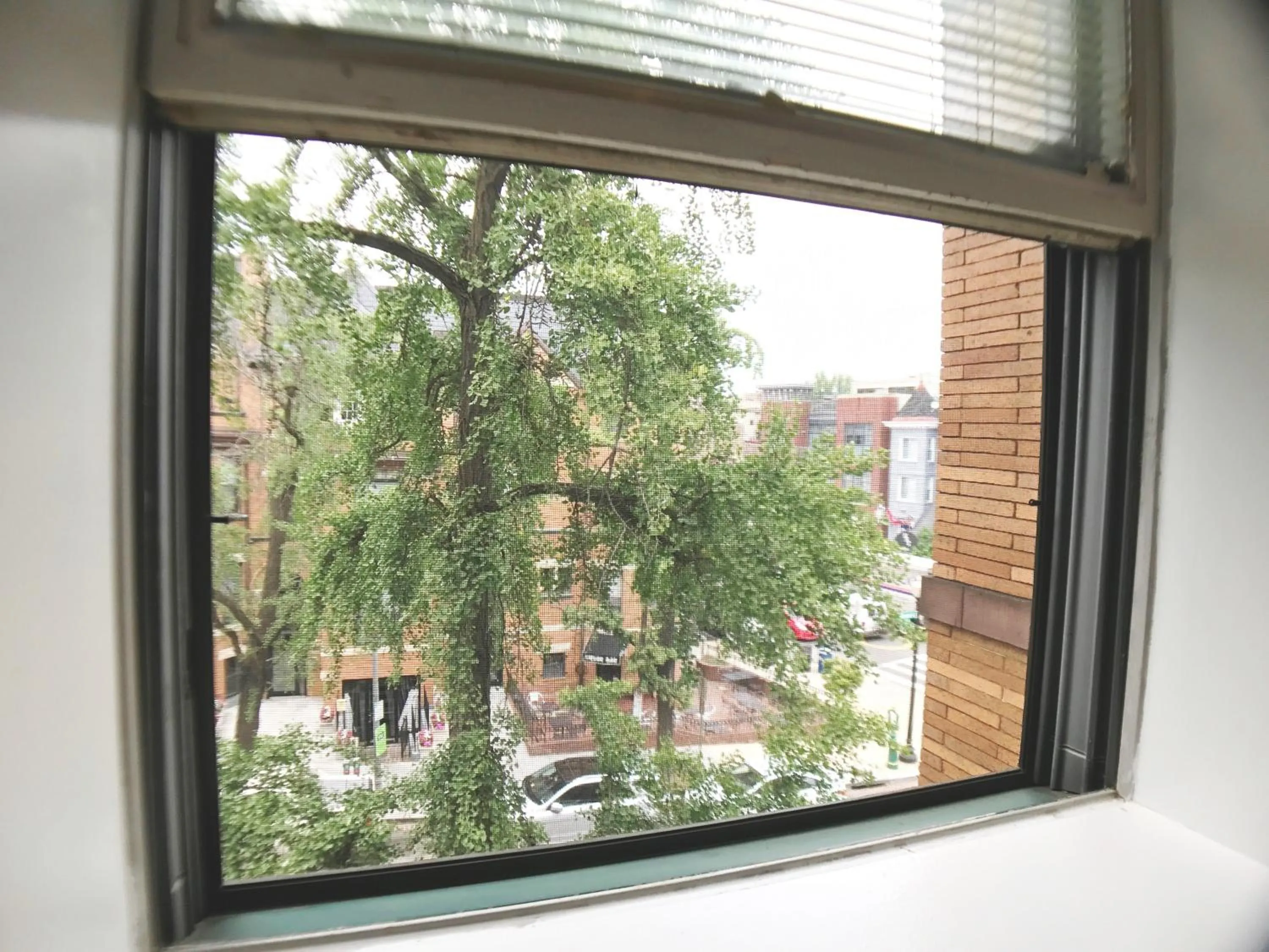 Street view in HighRoad Washington DC