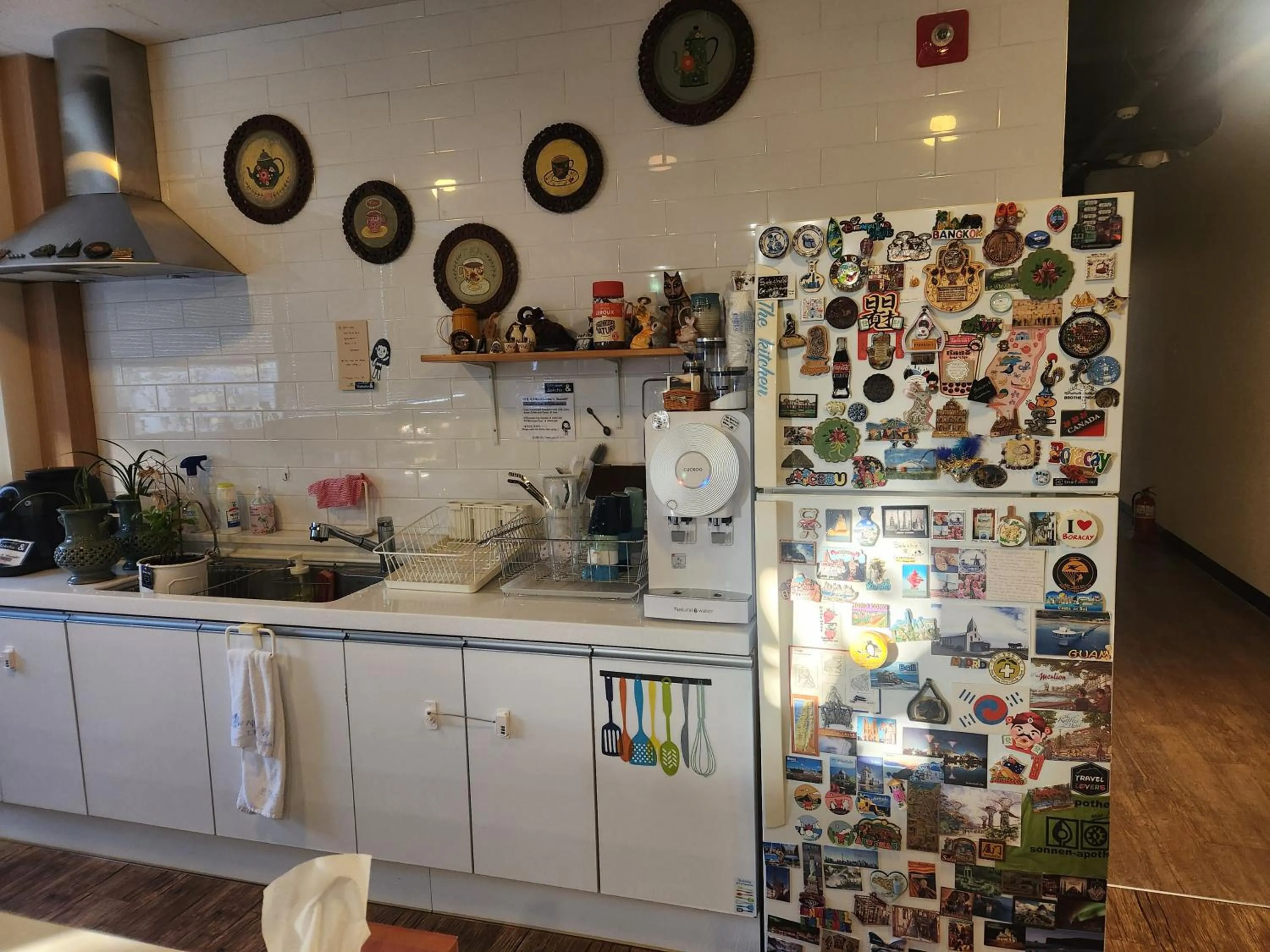 Property building in Sokcho & Guesthouse