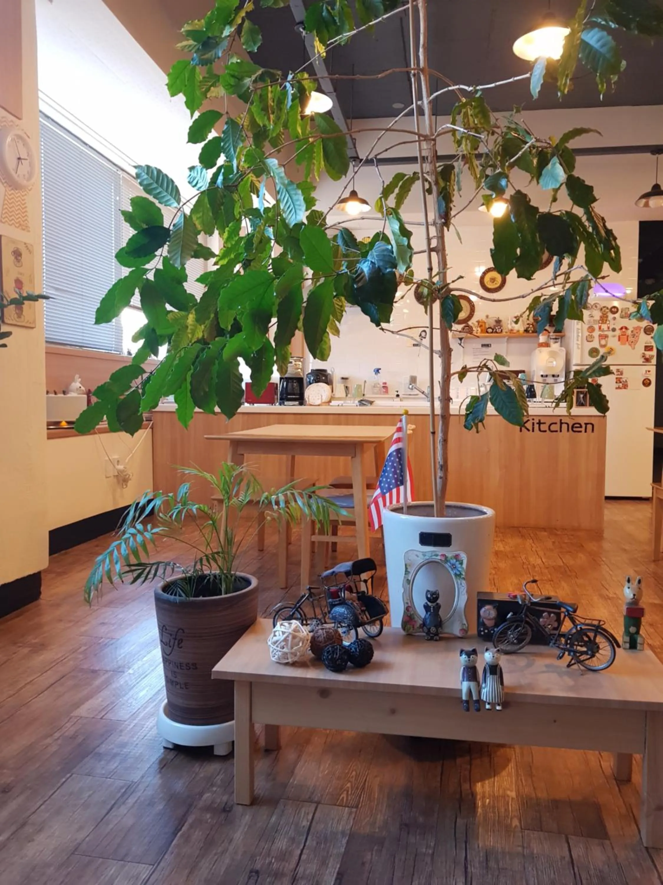 Property building in Sokcho & Guesthouse