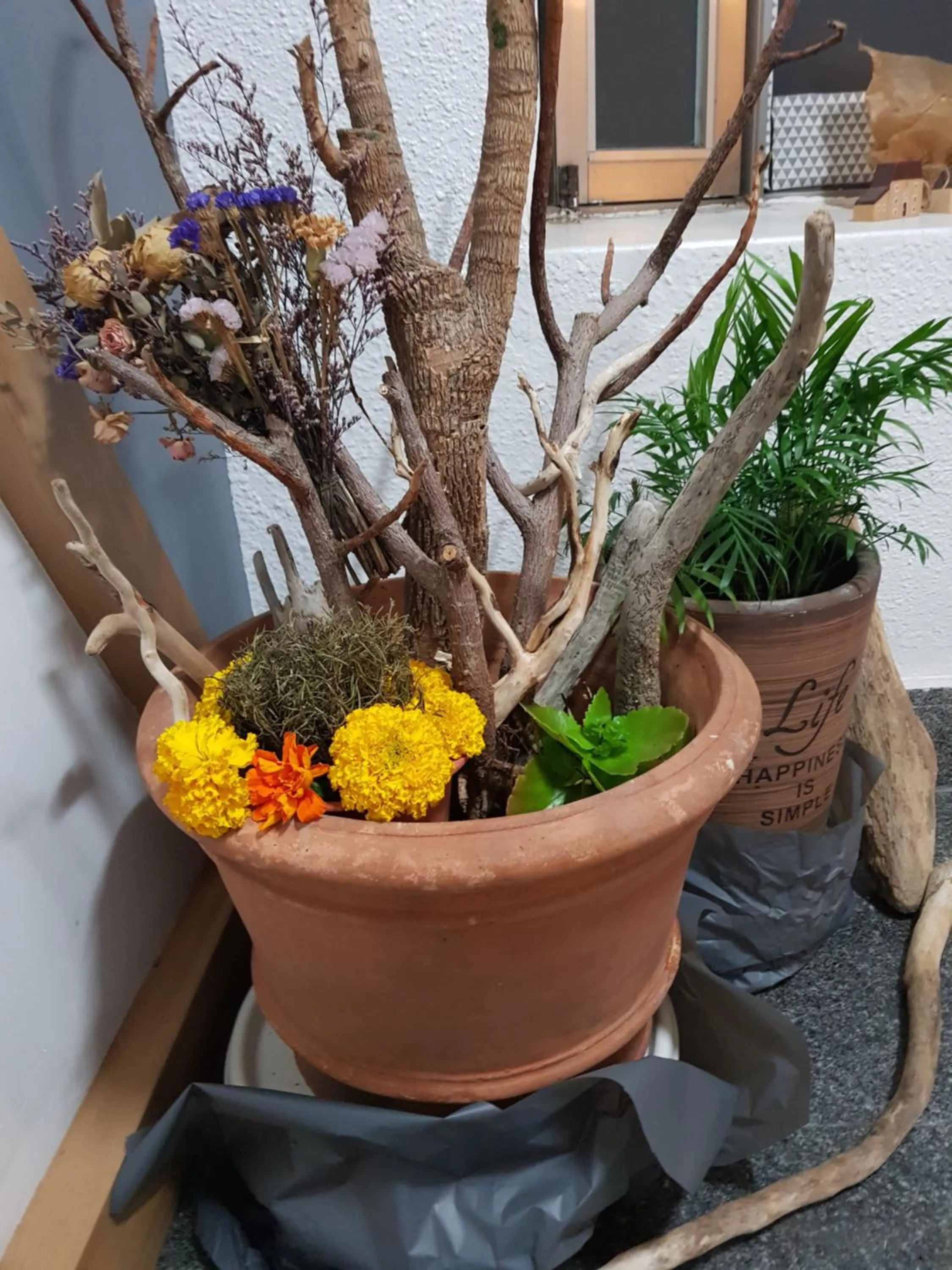 Property building in Sokcho & Guesthouse