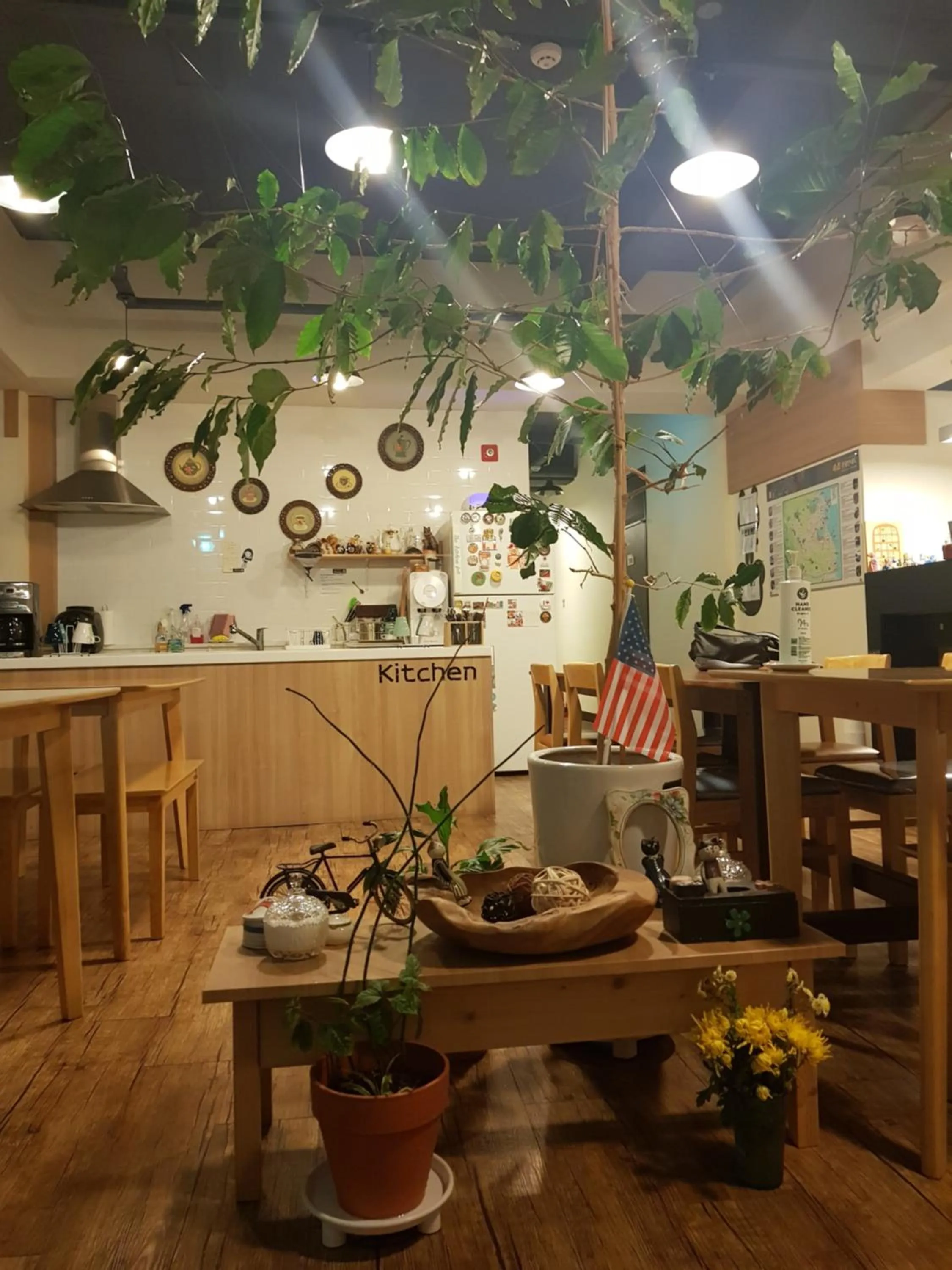 Property building in Sokcho & Guesthouse