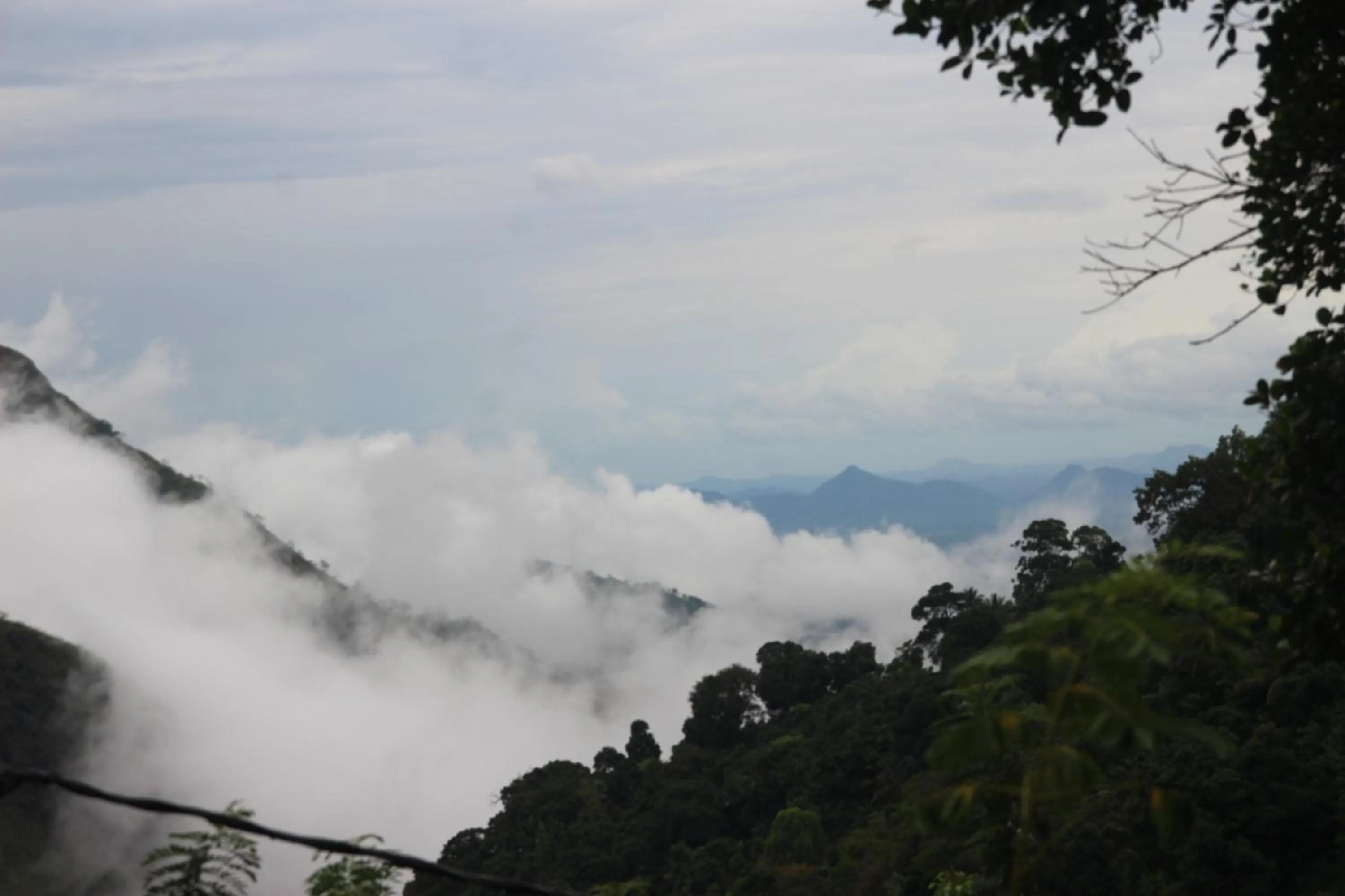 Natural landscape in Welcome Inn