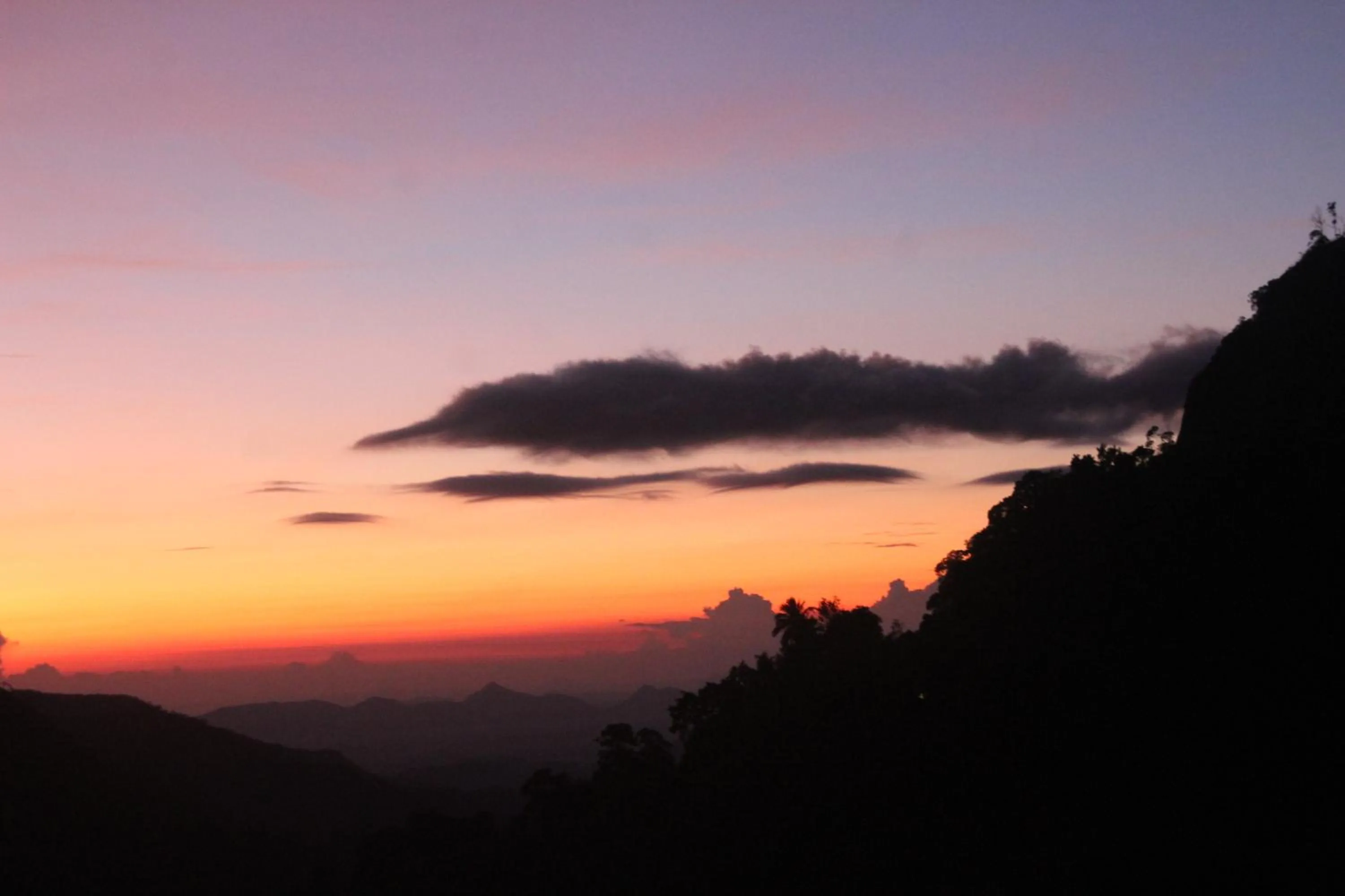 Natural landscape in Welcome Inn
