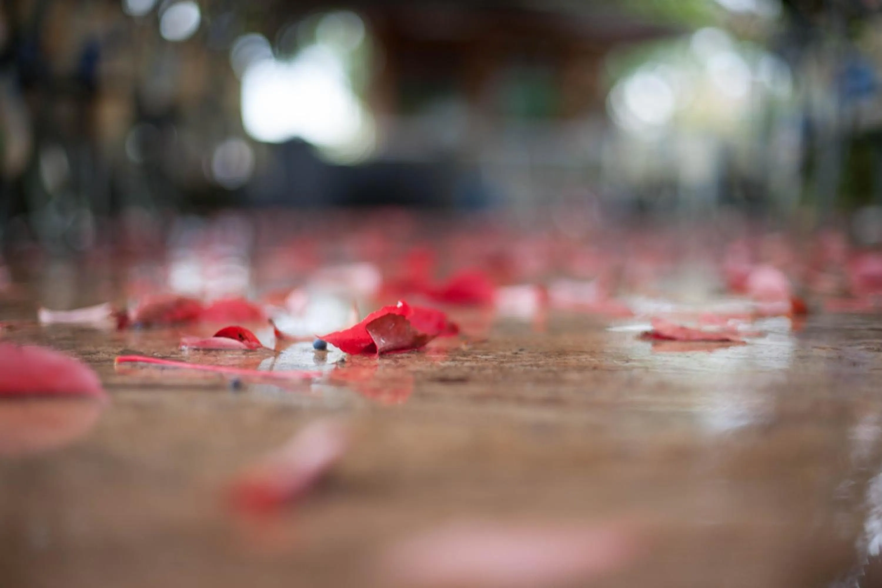 Other in Hotel Catullo