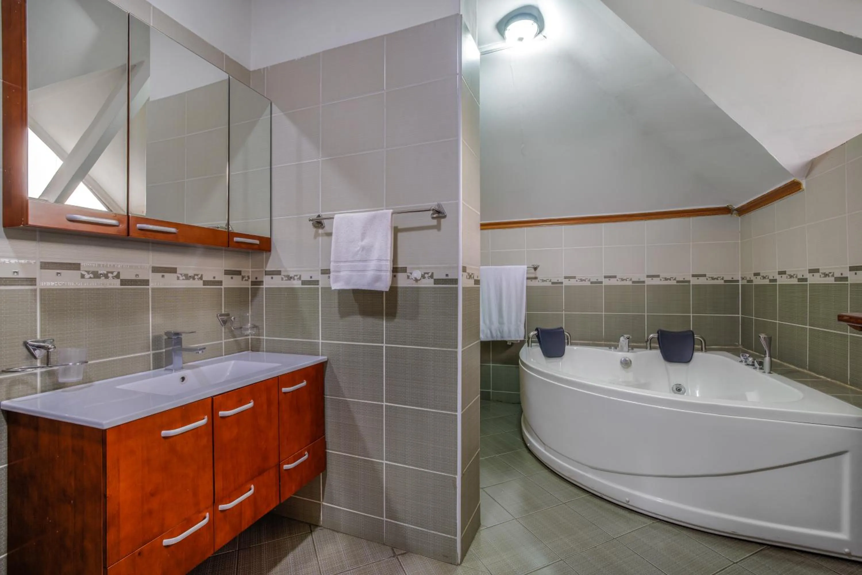 Shower in Kates Apartments