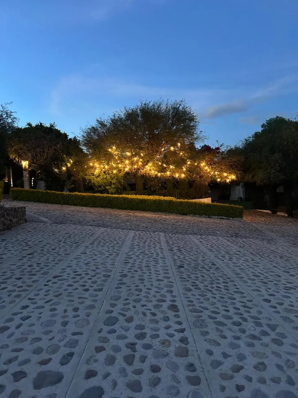 Summer in Cabañas Rancho San Jorge