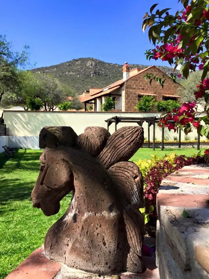 Day in Cabañas Rancho San Jorge