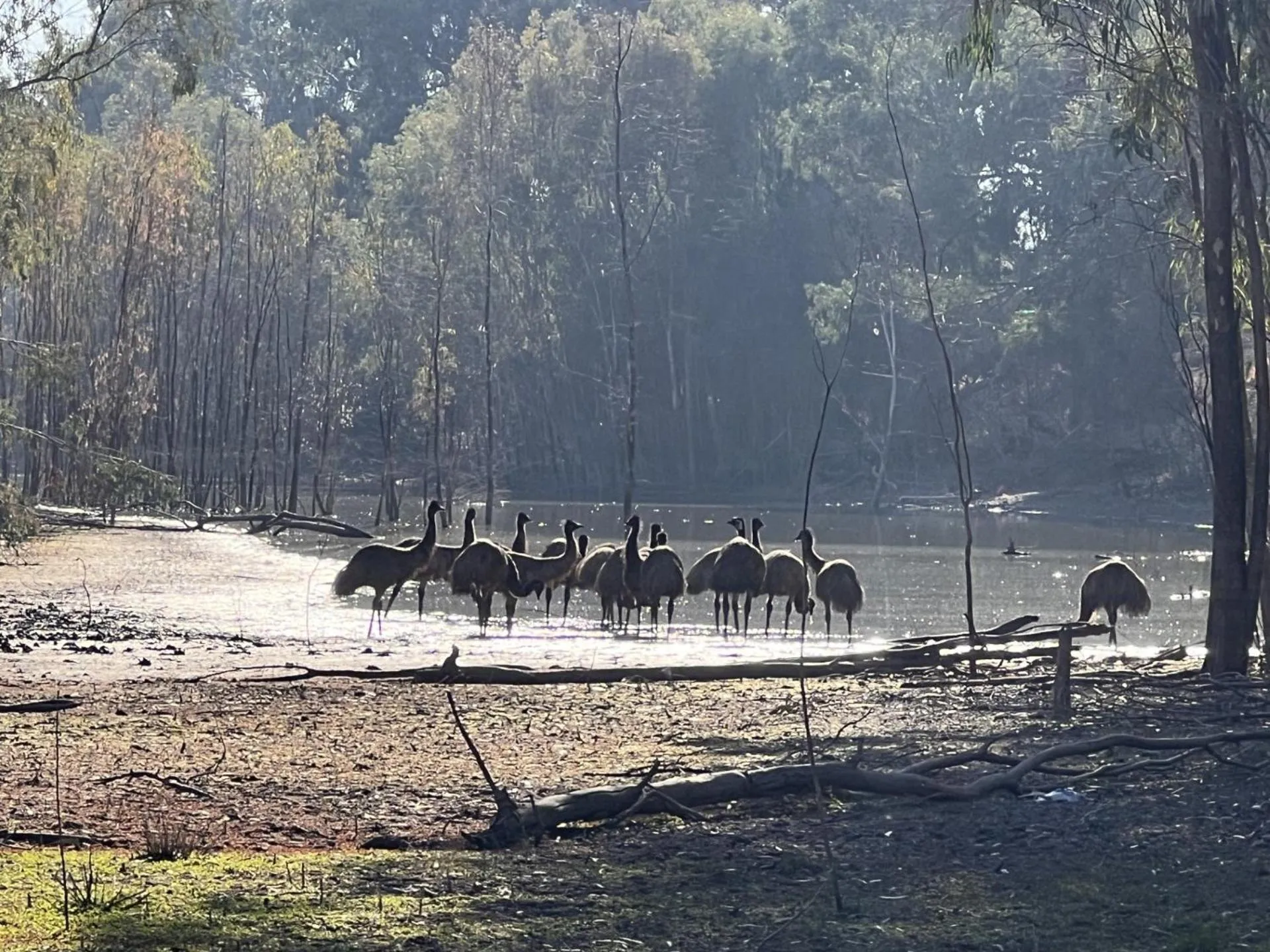 River view in Two Rivers Motel