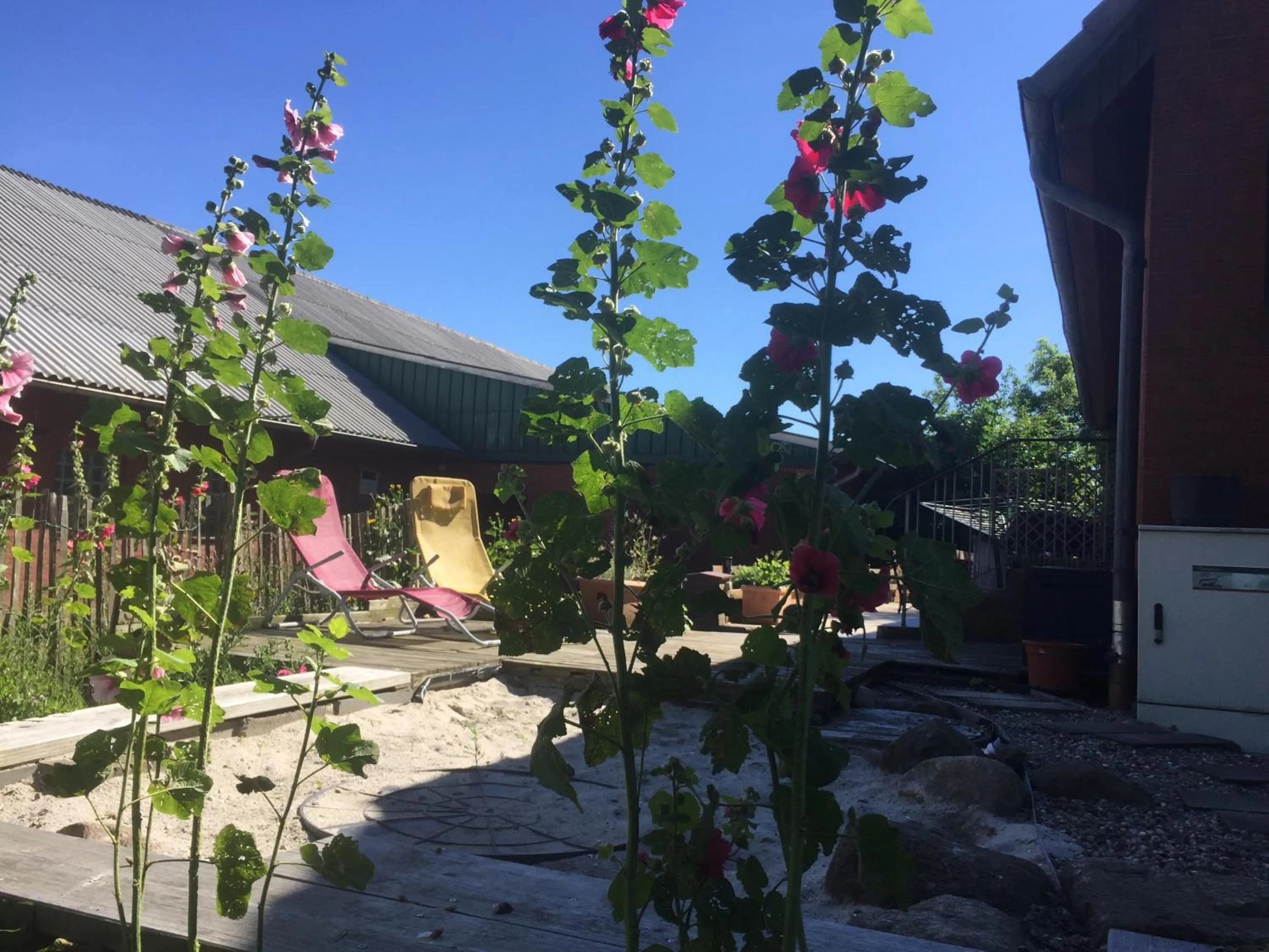 Balcony/Terrace in Peanuts Hostel & Meer