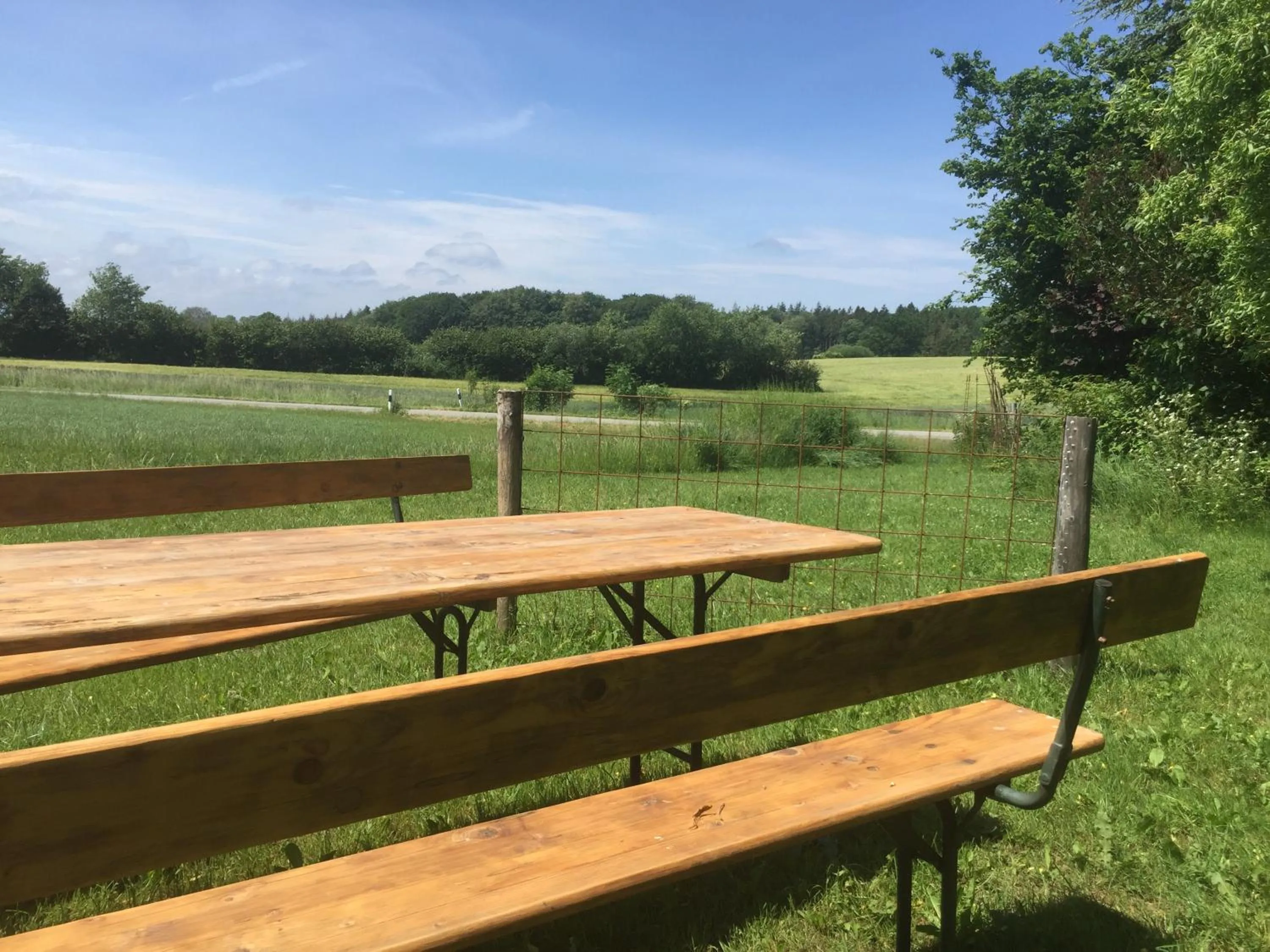 Garden in Peanuts Hostel & Meer
