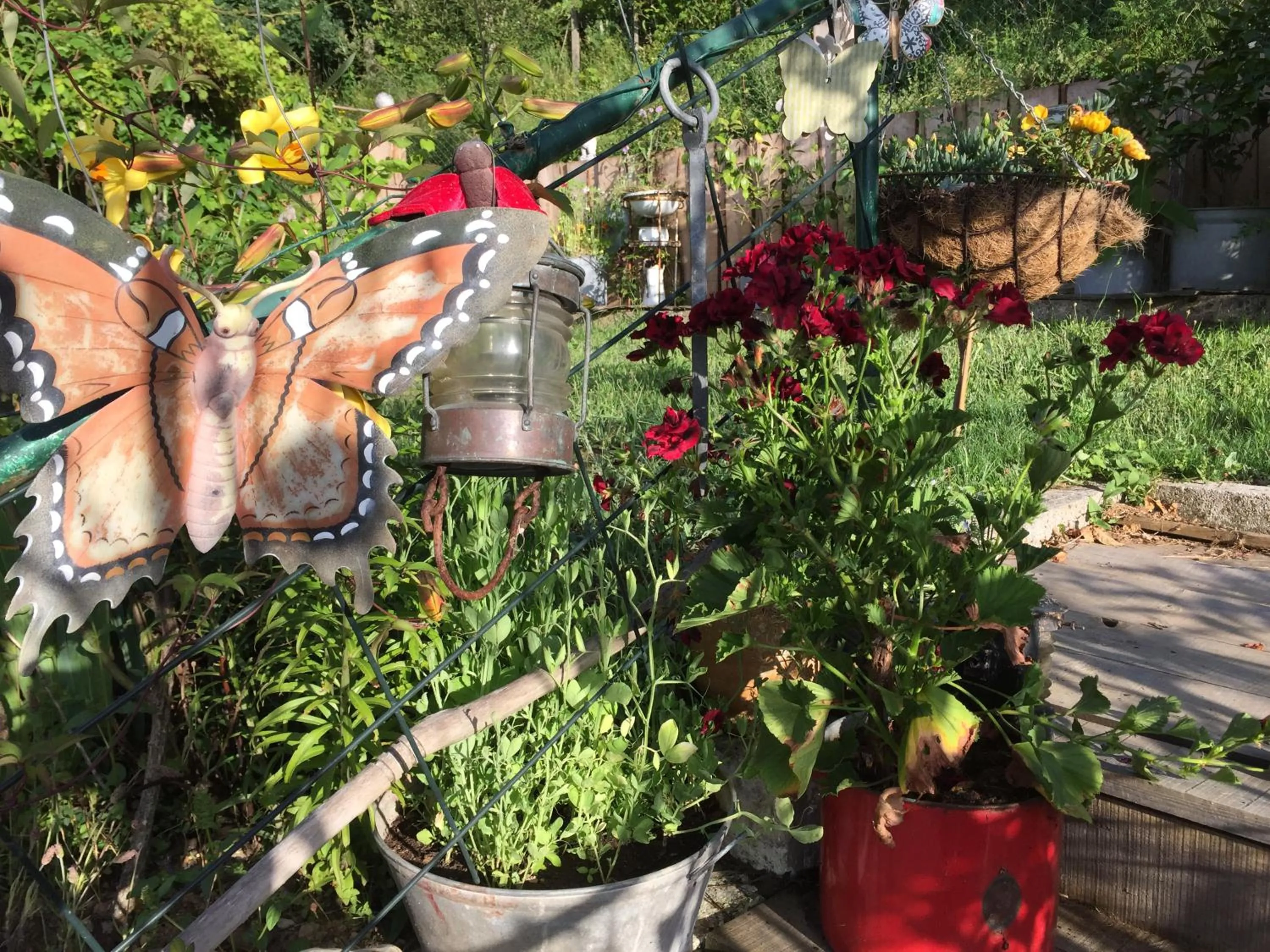 Garden in Casa Traca