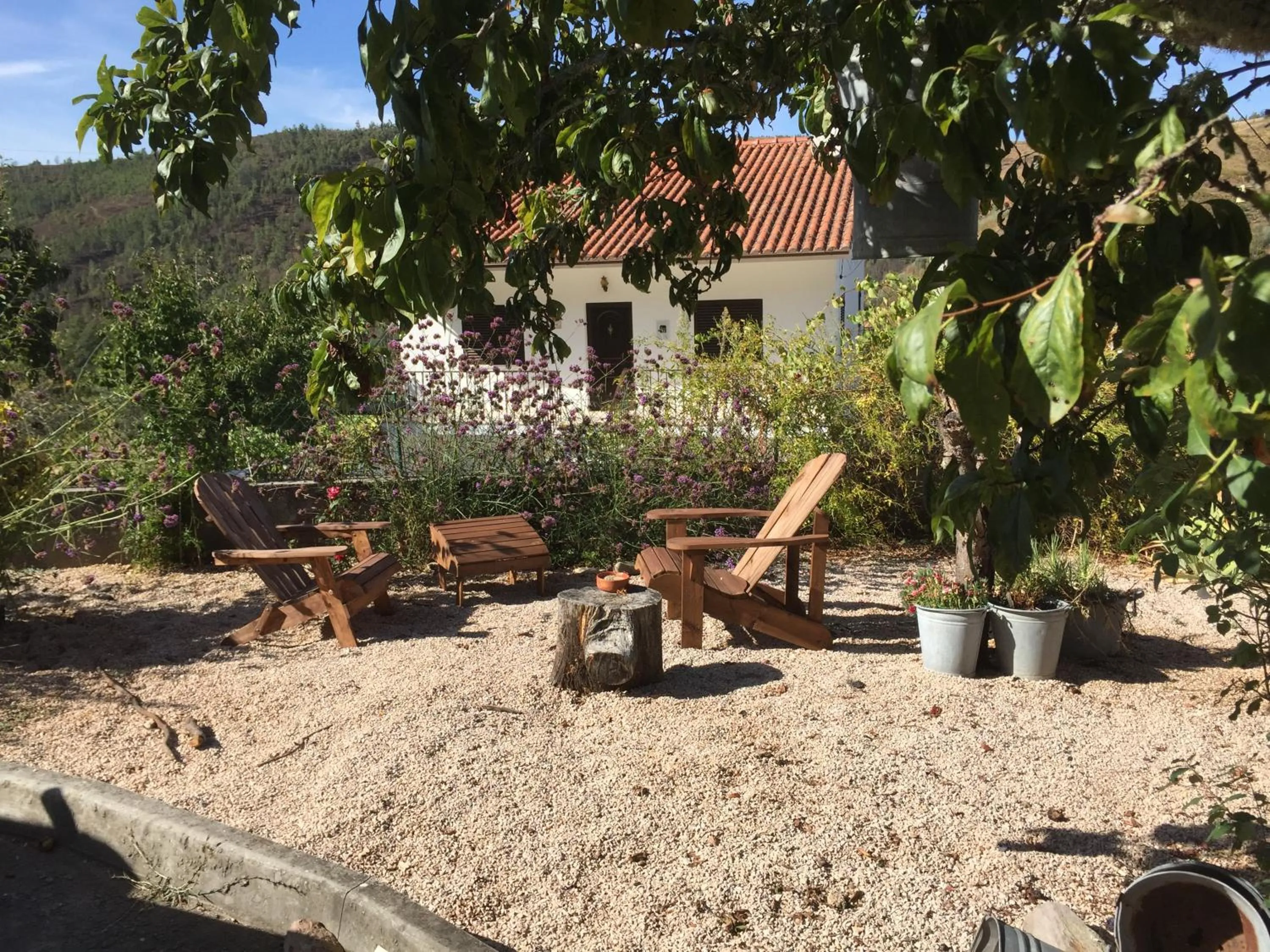 Garden in Casa Traca