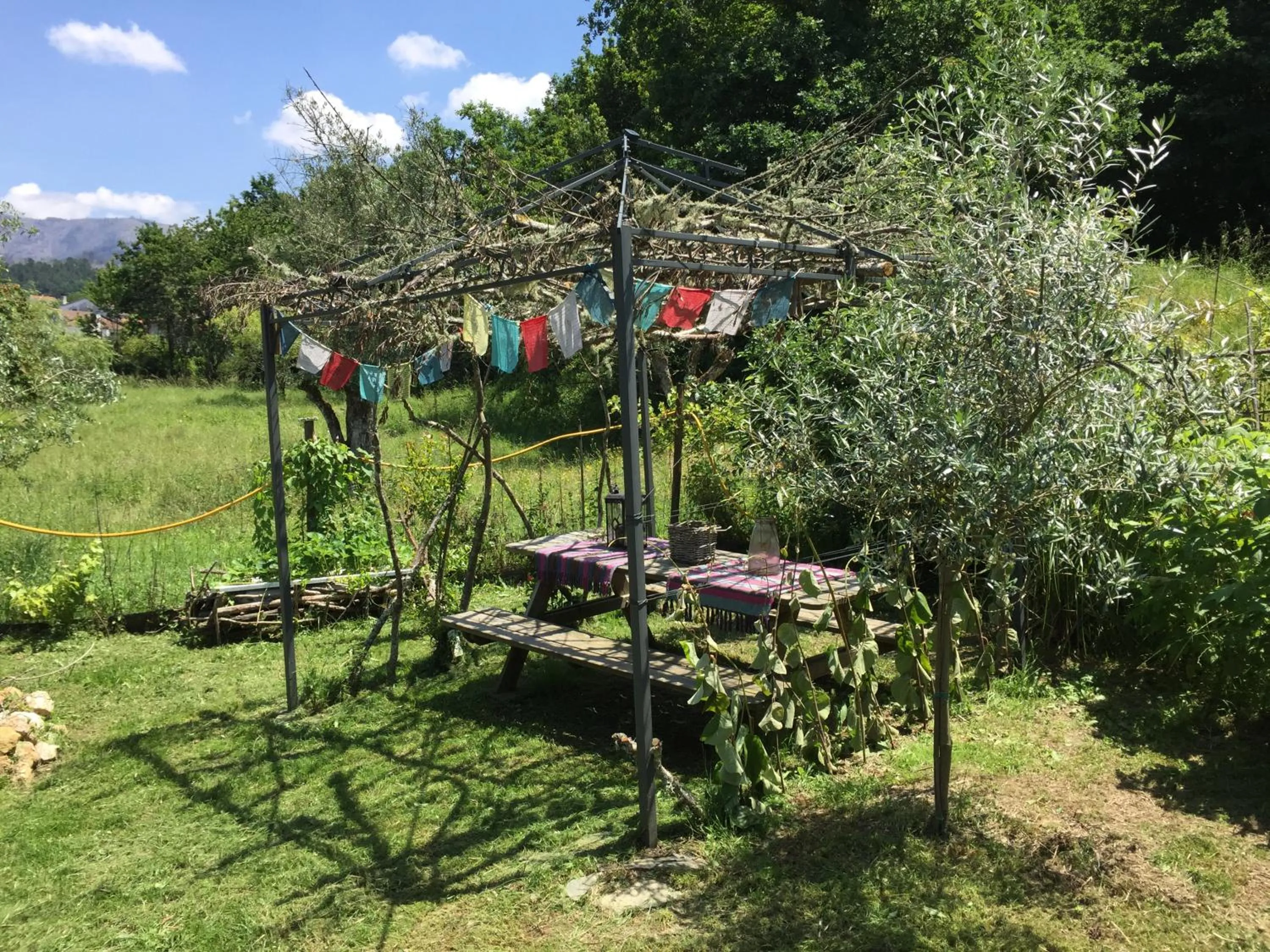 Garden in Casa Traca