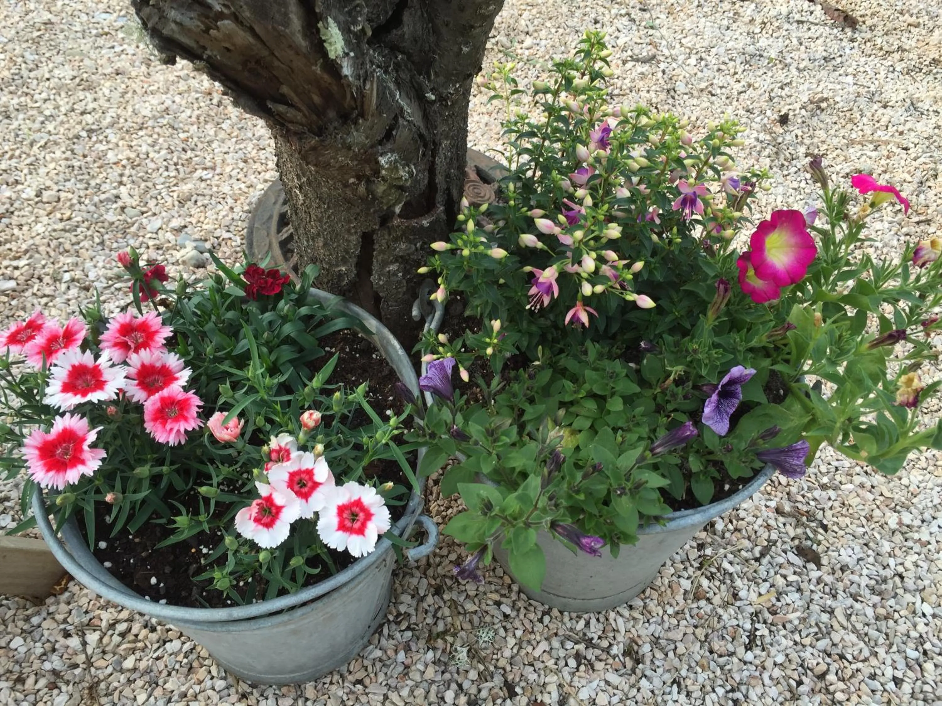 Balcony/Terrace in Casa Traca