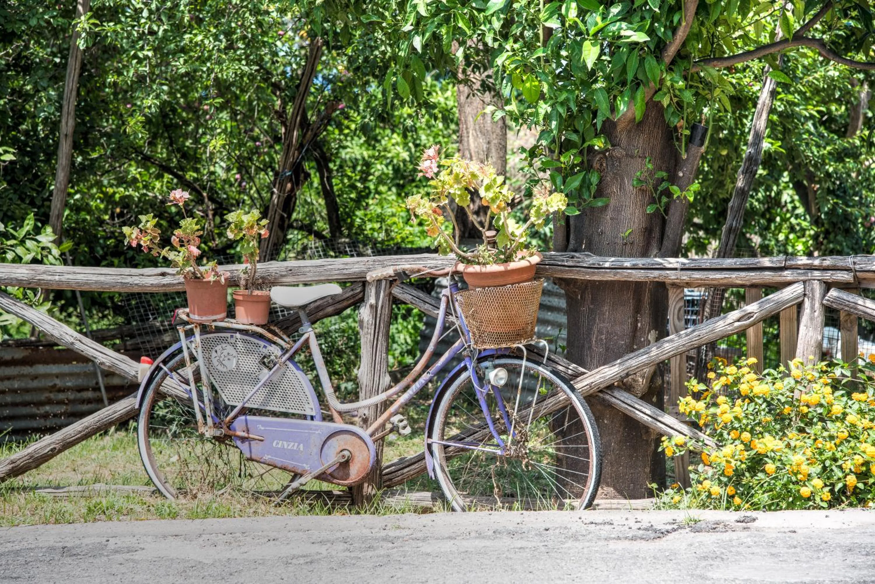 Garden in Casa Nannina