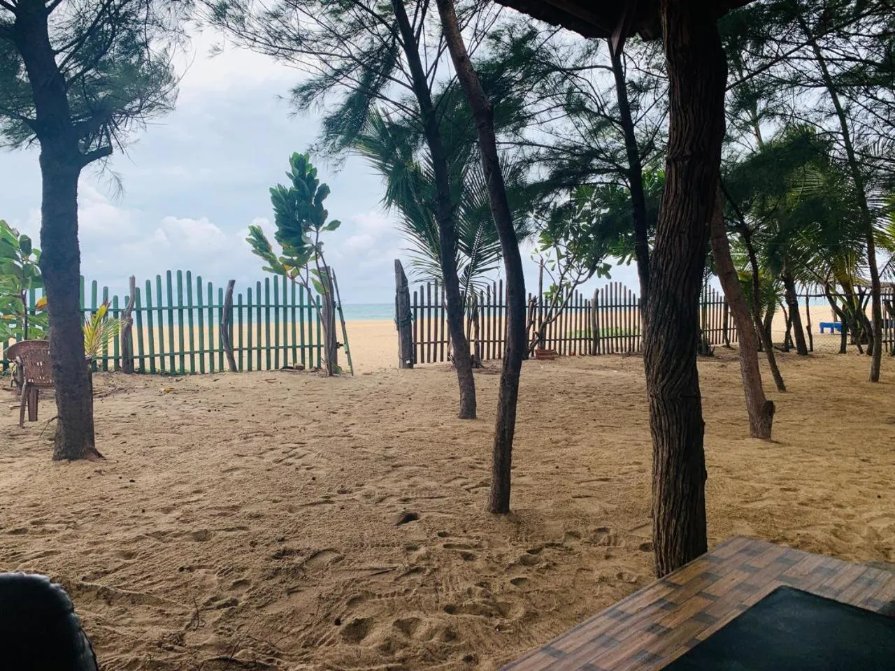 Spring in Shim Beach Resort