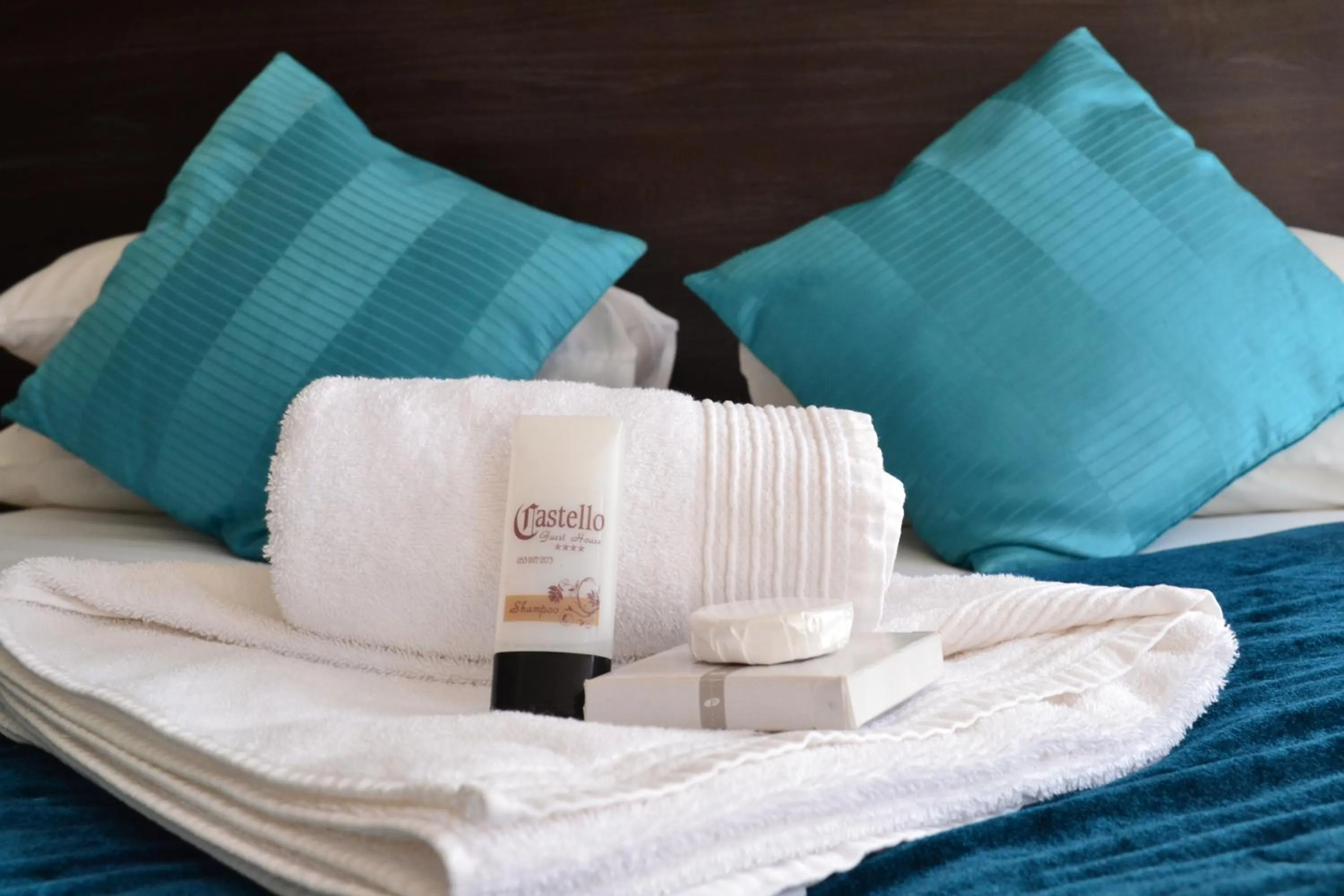 Shower in Castello Guesthouse Vryburg