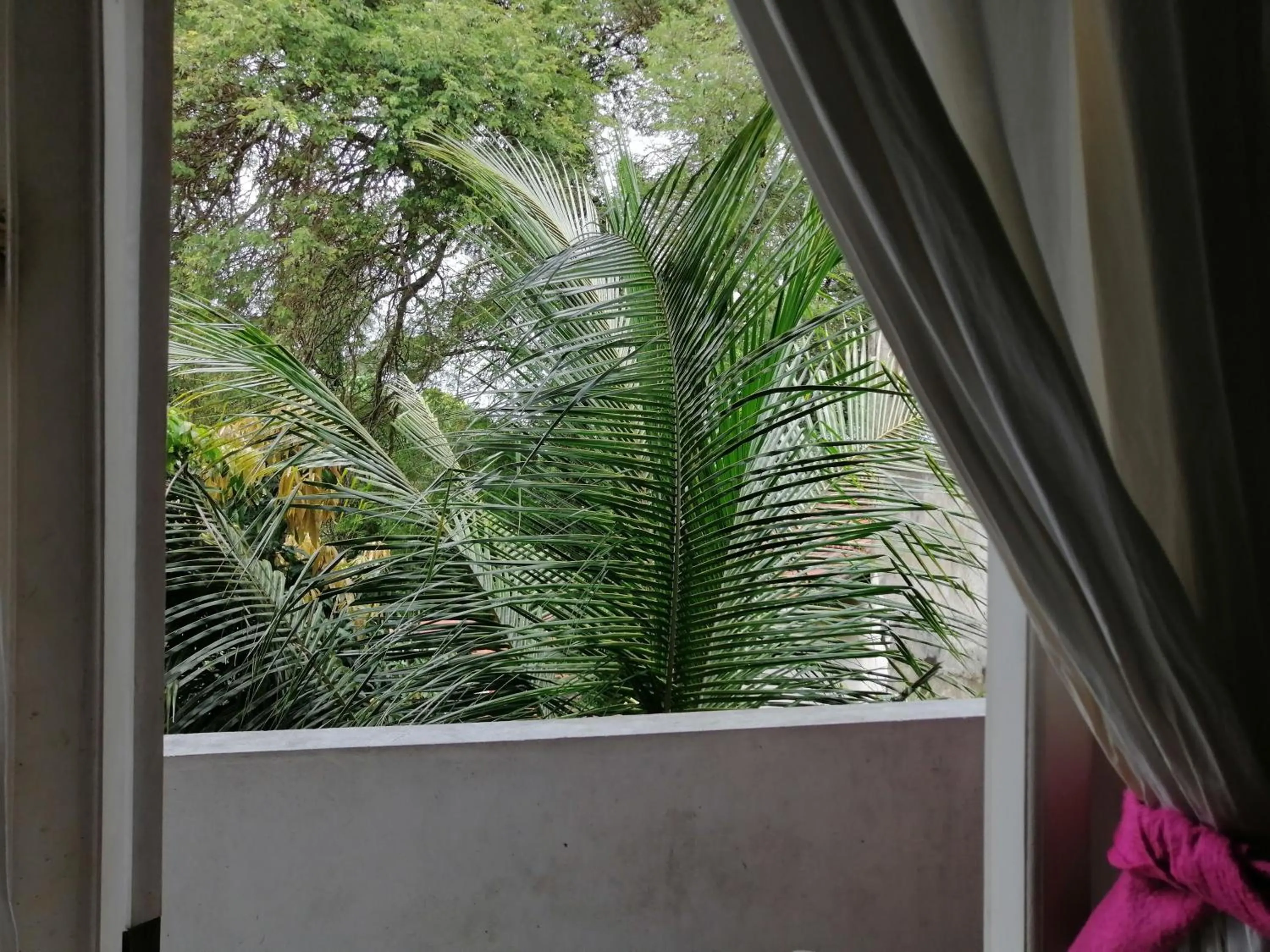 Garden view in Sithila Villa