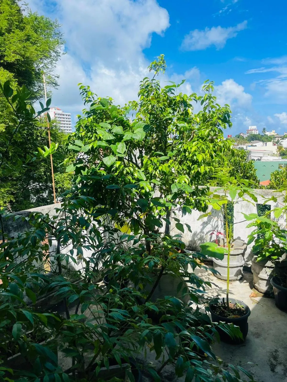 Property building in Sithila Villa