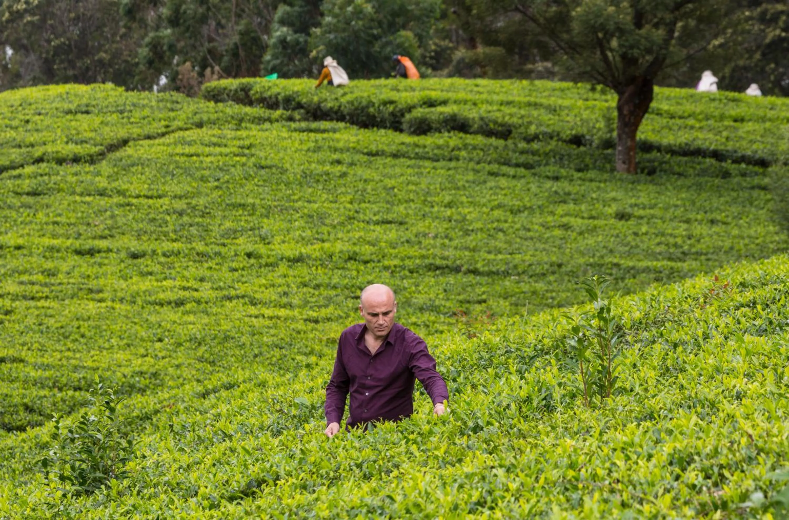 Off site in Hill Rise Luxury Villa & Stables by Edwards Collection - Nuwara Eliya