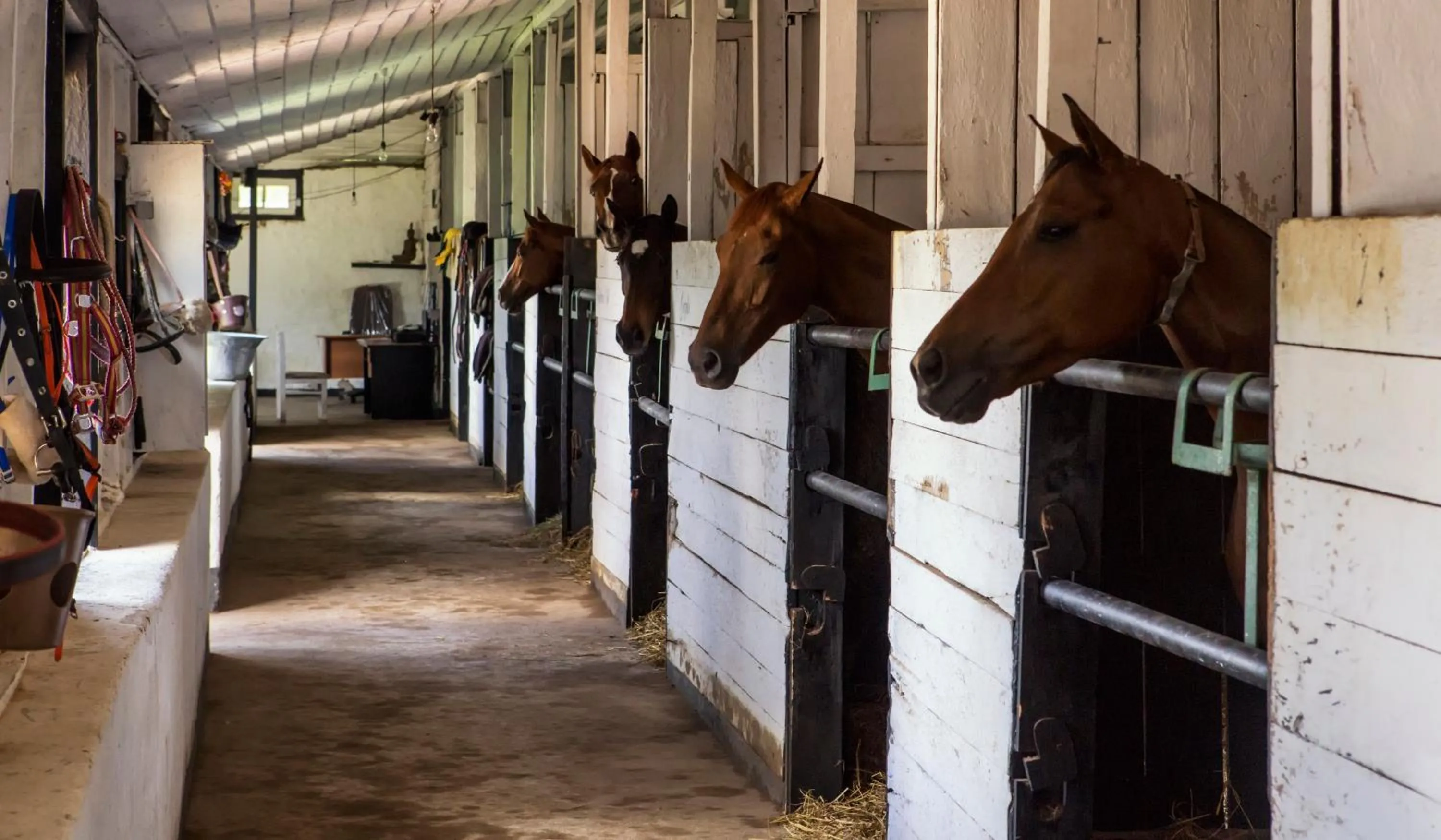 Off site in Hill Rise Luxury Villa & Stables by Edwards Collection - Nuwara Eliya