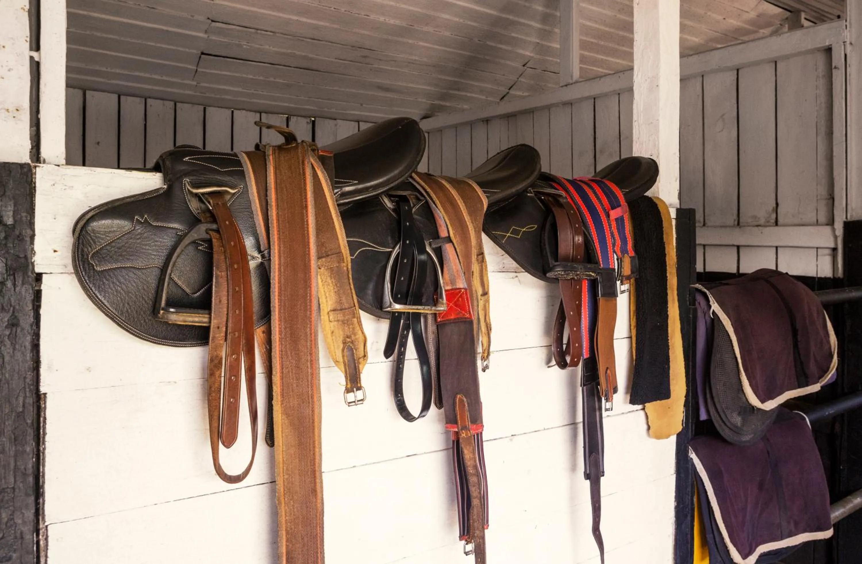 Off site in Hill Rise Luxury Villa & Stables by Edwards Collection - Nuwara Eliya