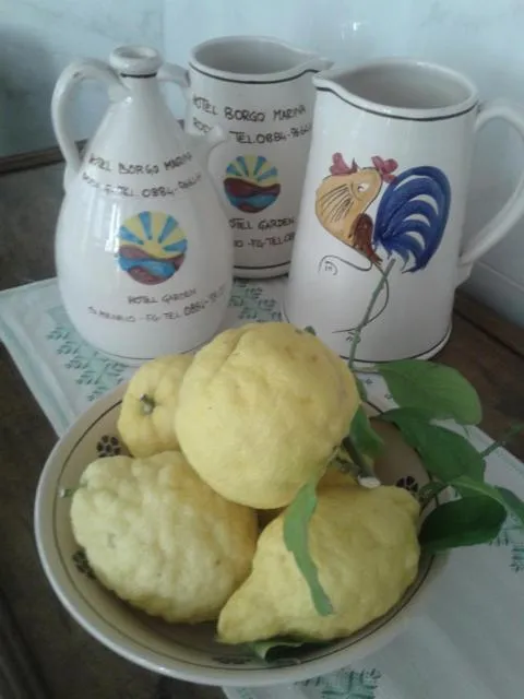 Food close-up in Hotel Borgo Marina