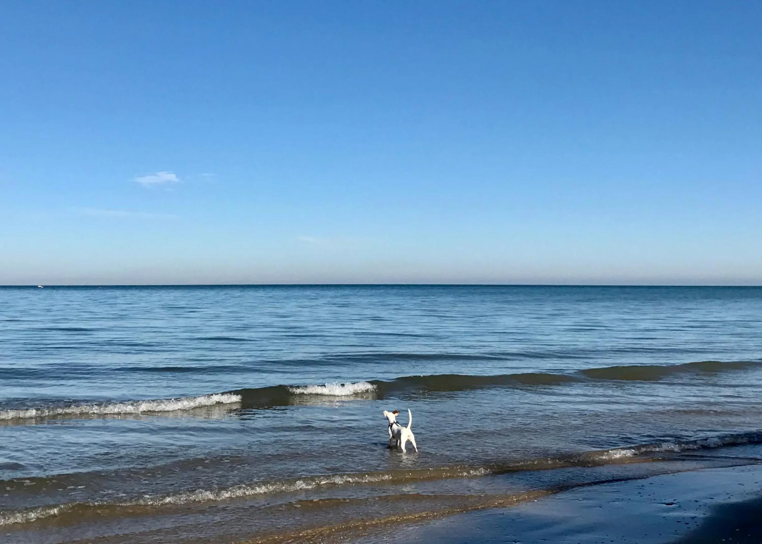 Beach in Hotel Borgo Marina