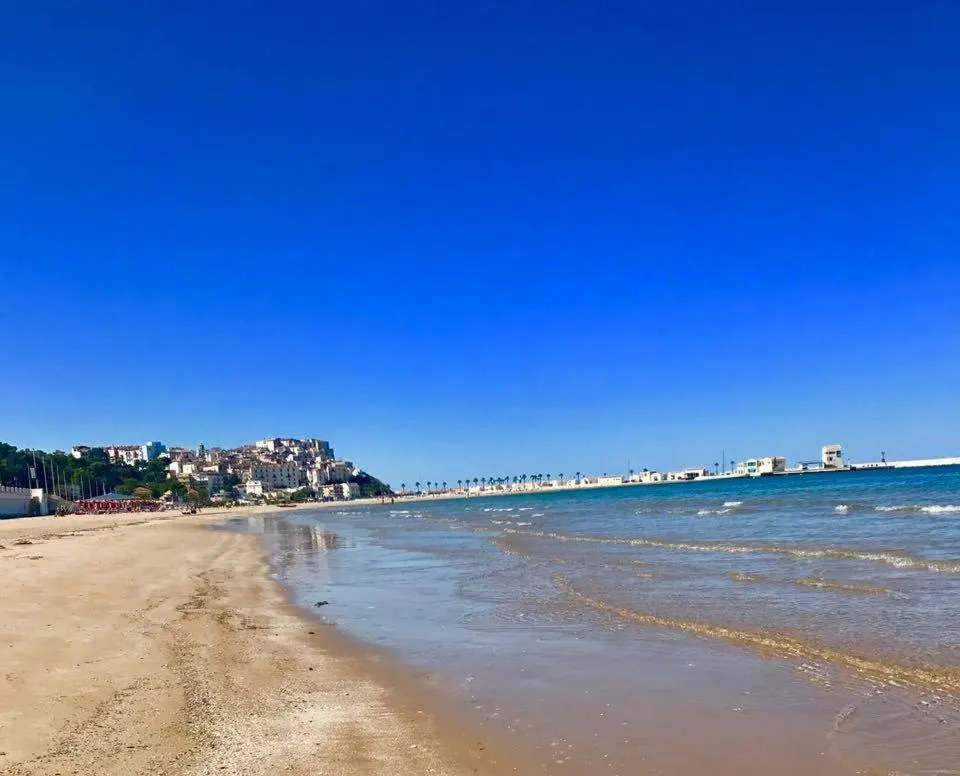 Beach in Hotel Borgo Marina