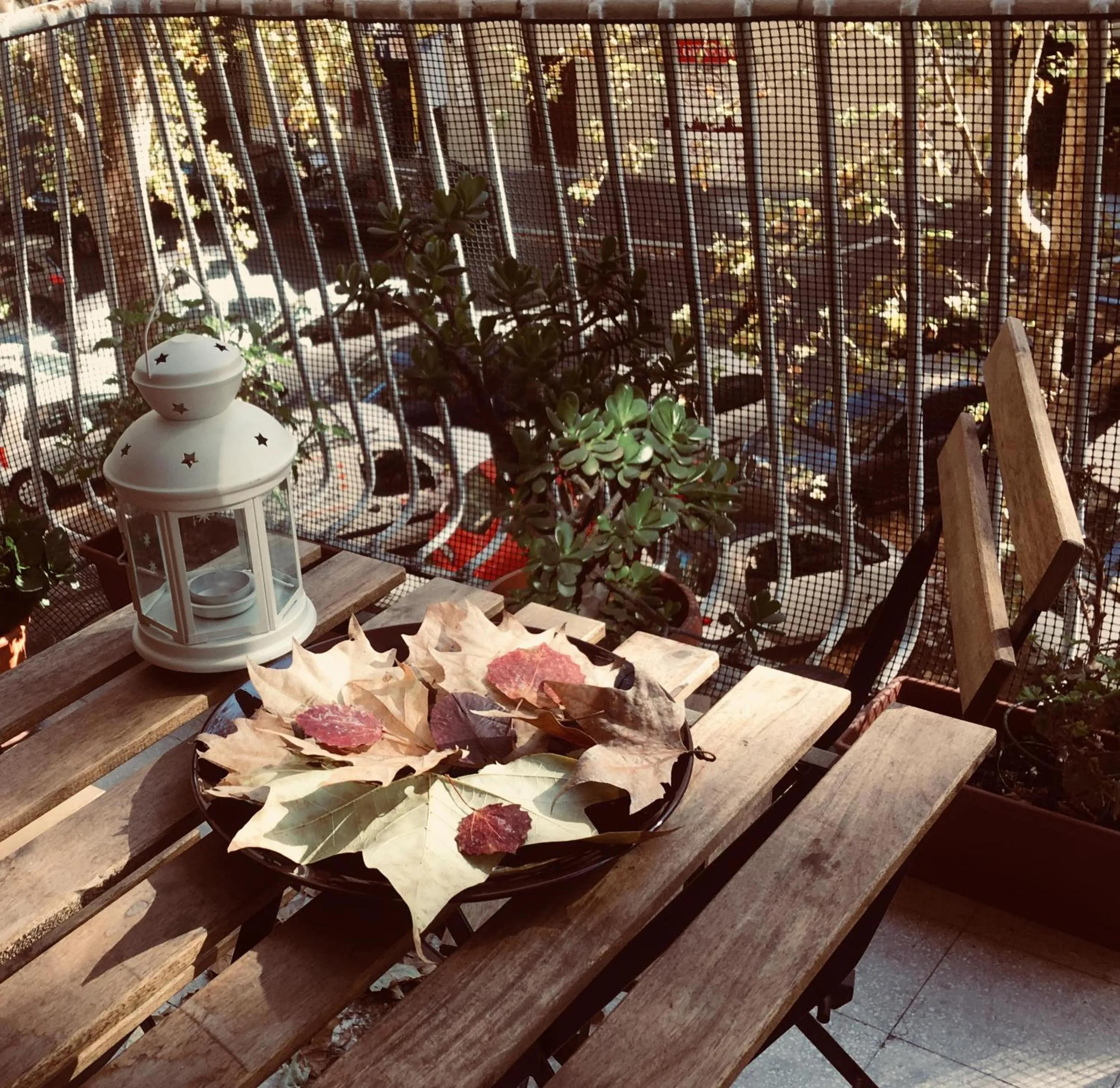 Balcony/Terrace in B&B Stelle Di Roma
