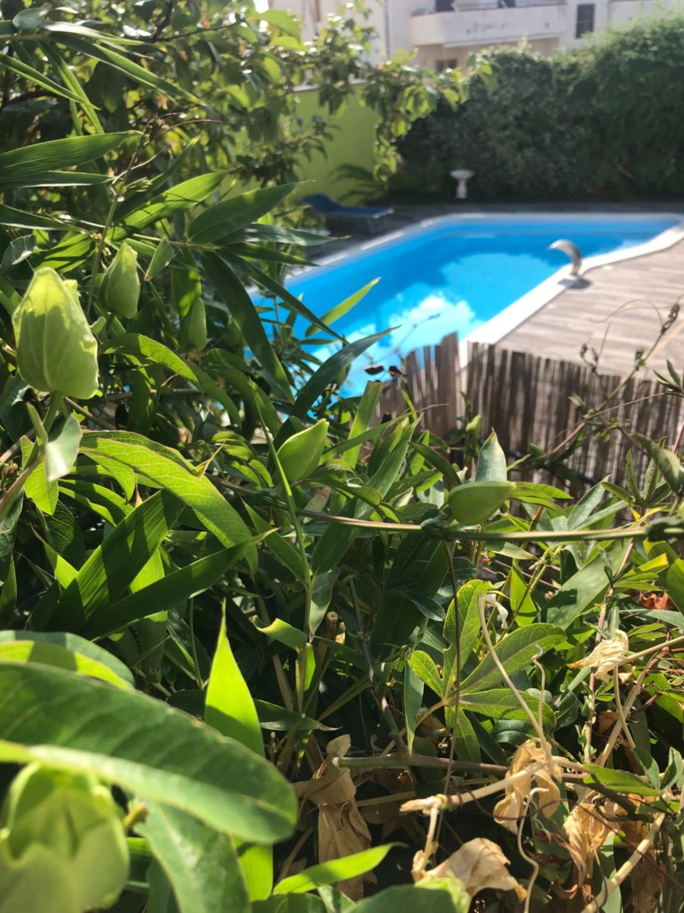 Casa Vacanze Domusangela