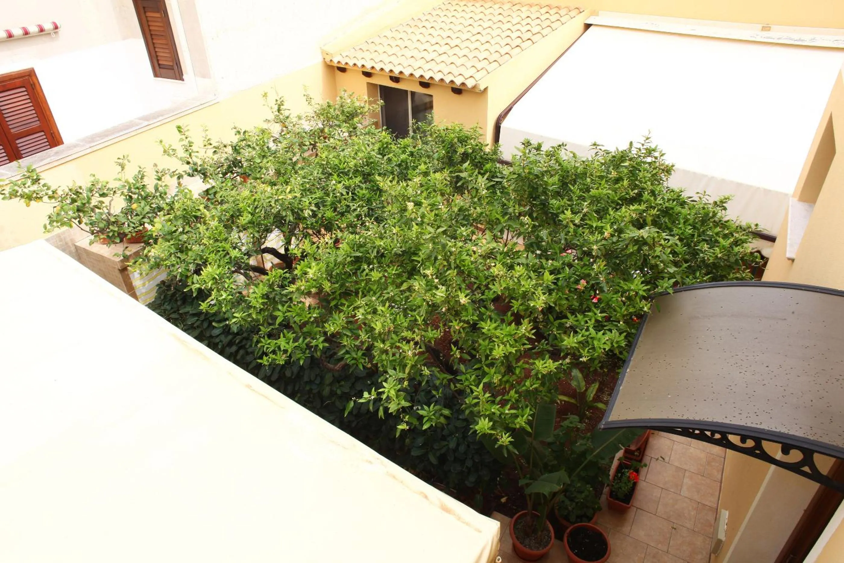 Decorative detail in Coralia Bed & Breakfast