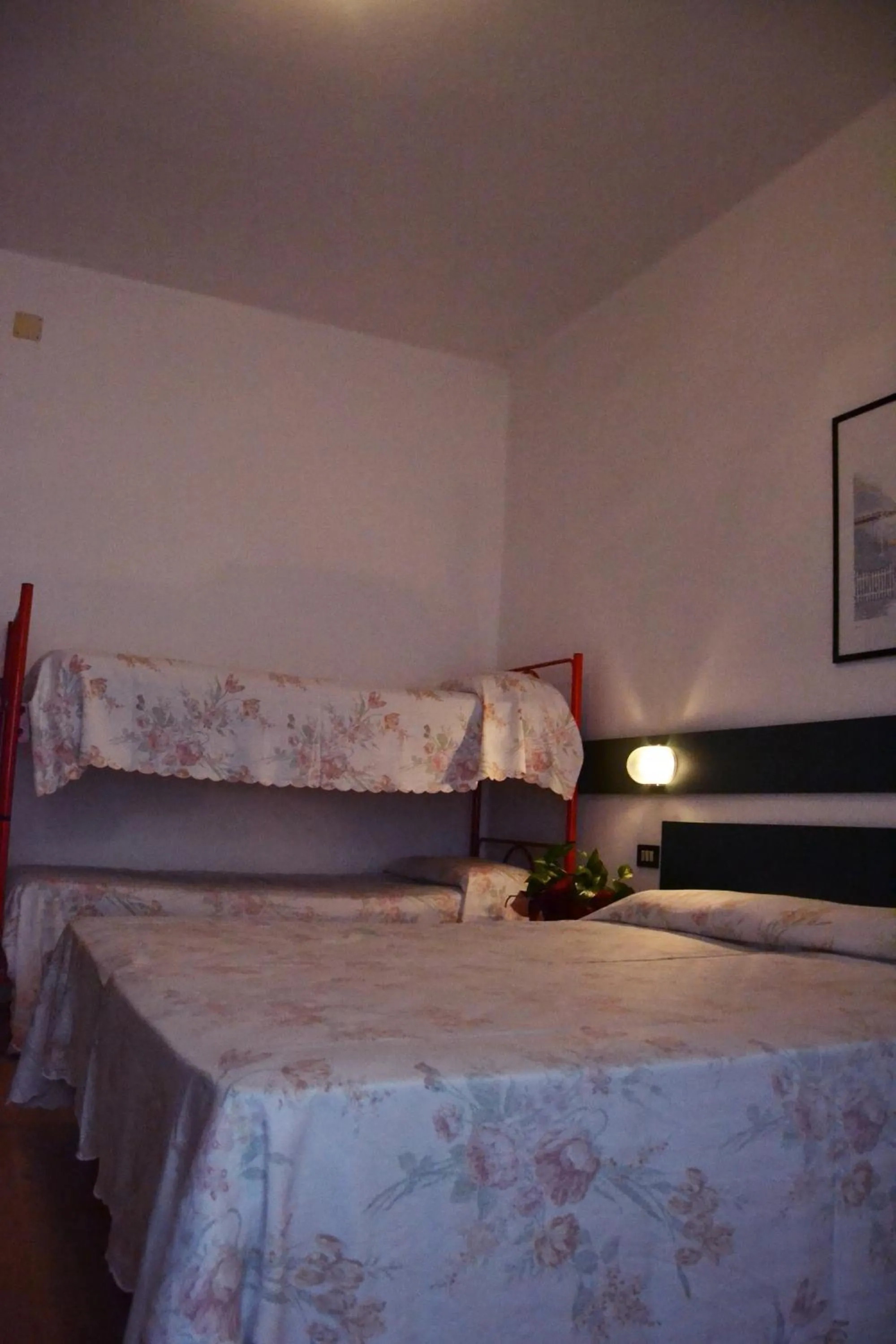 Photo of the whole room in Hotel Rex