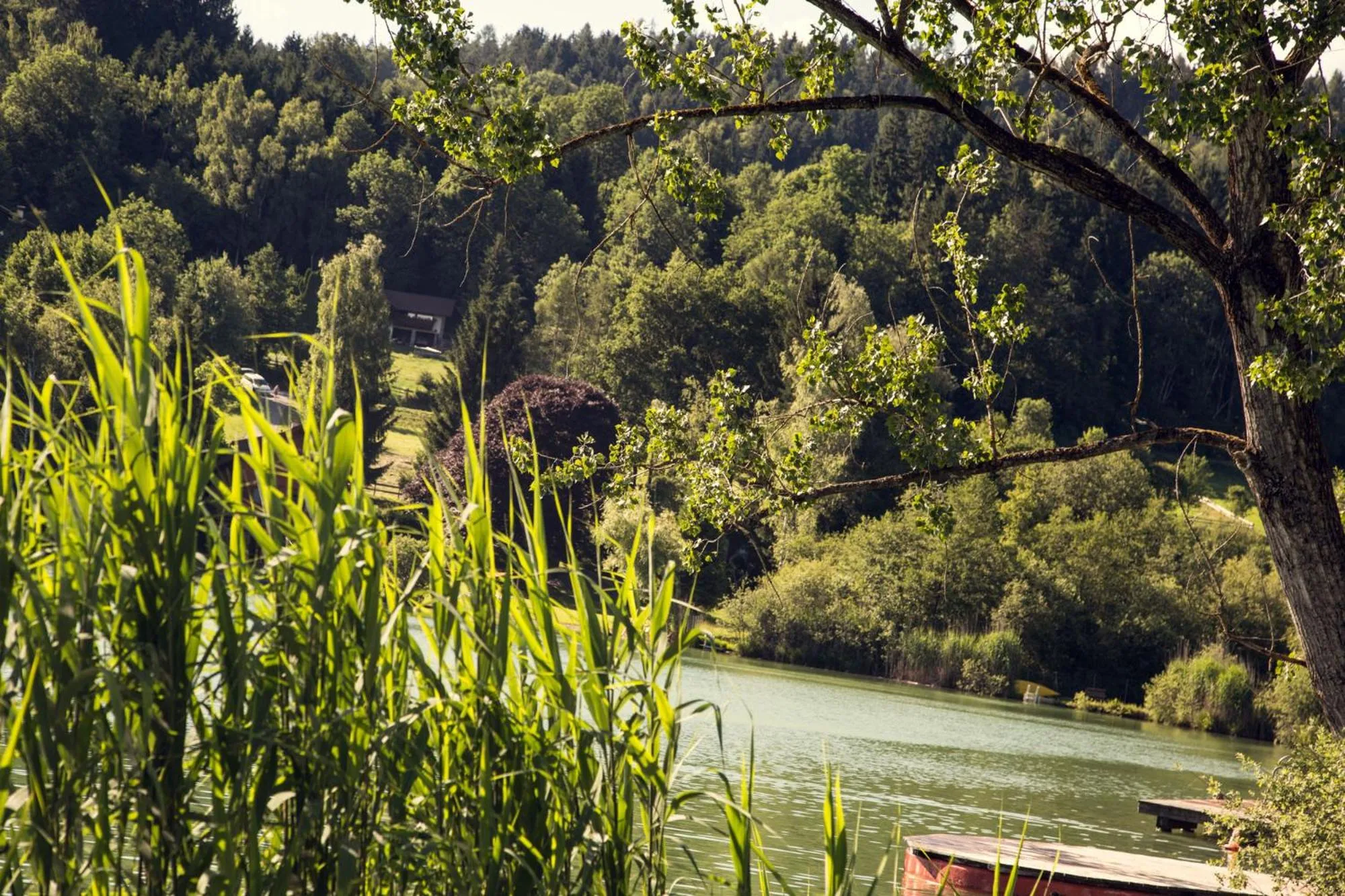 Lake view in Maltschacher Seewirt