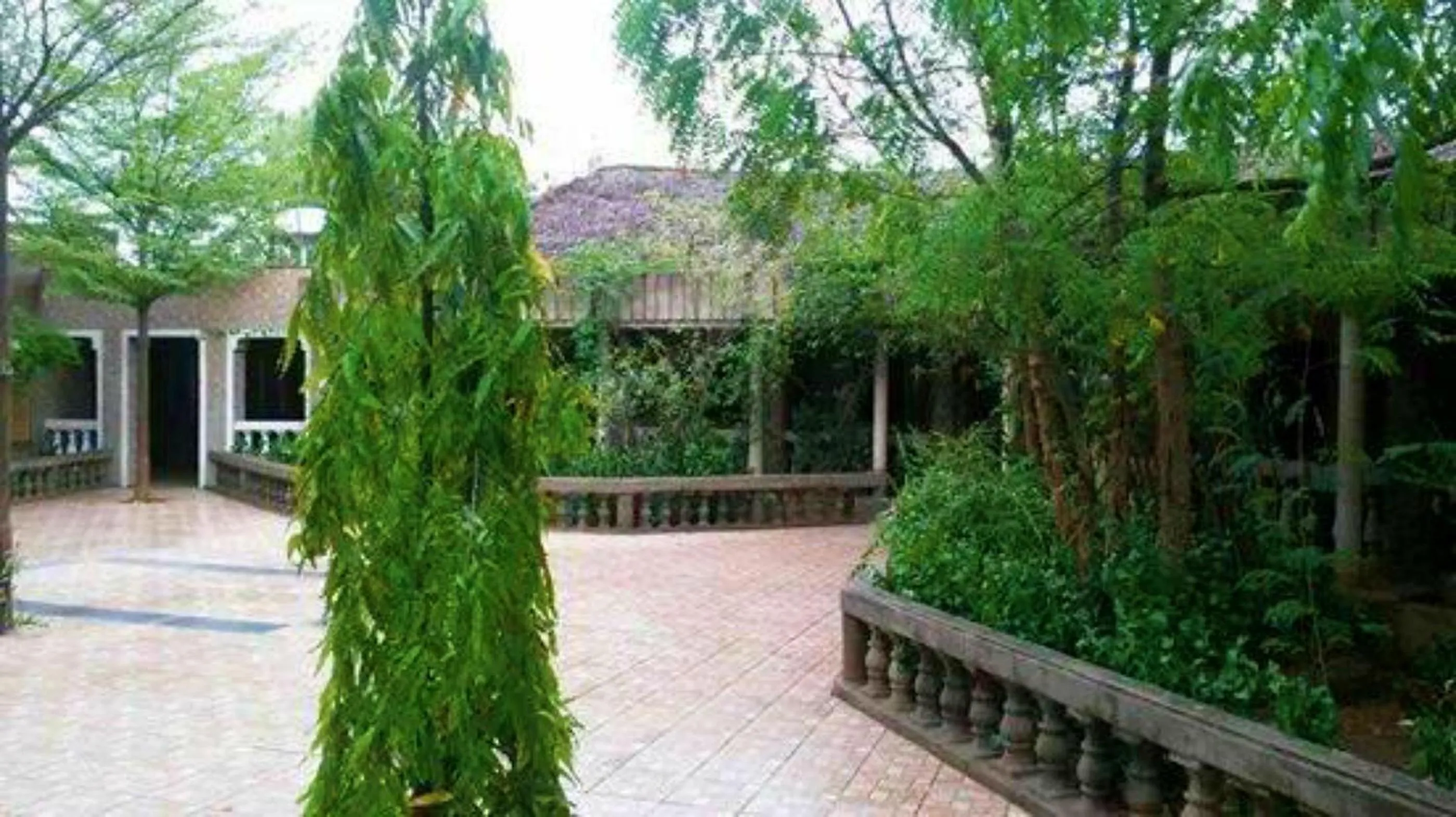 Garden in Proland Inn