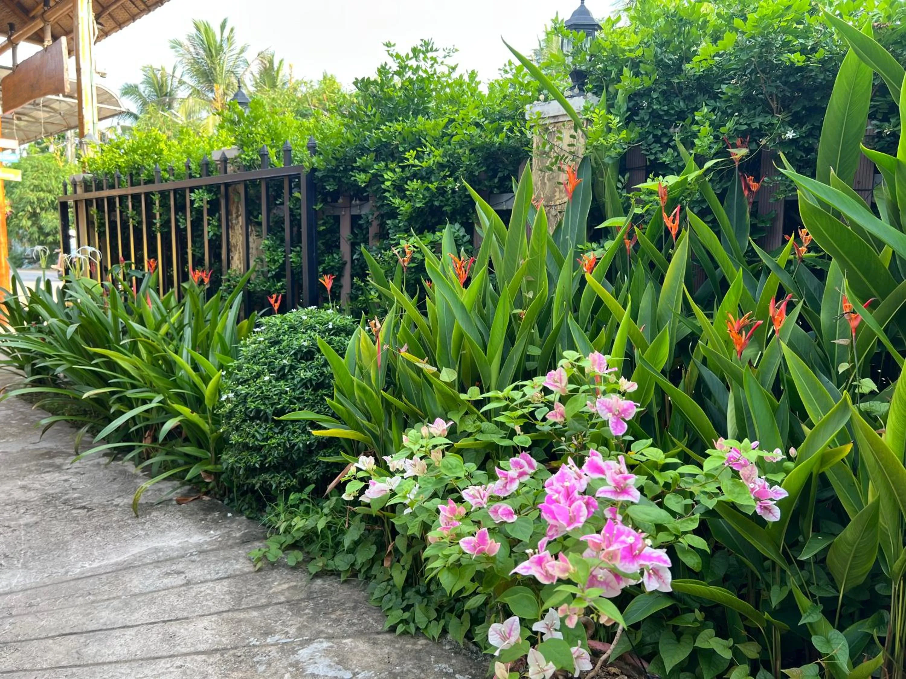 Spring in Tropical Garden Phu Quoc