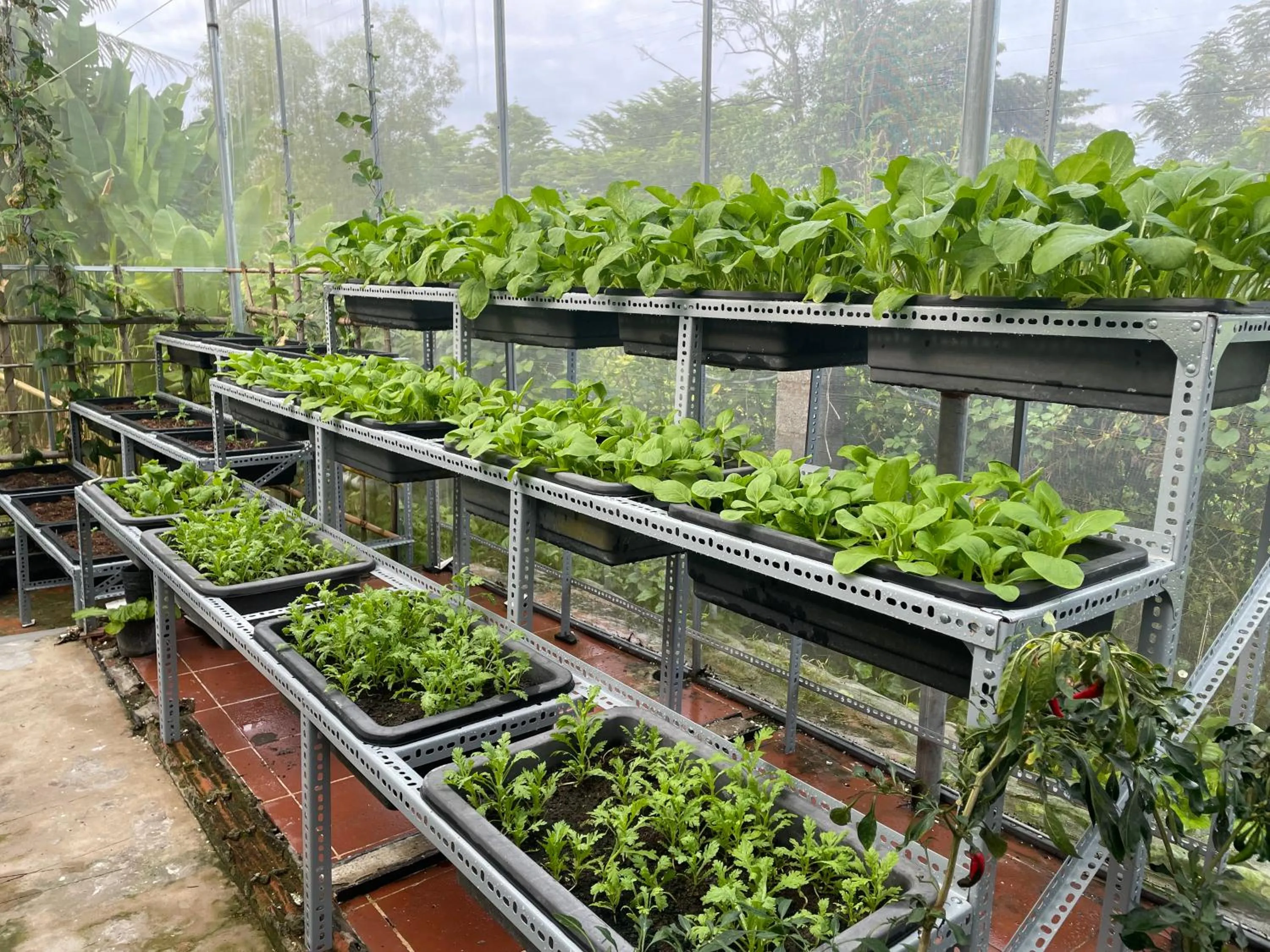Garden in Tropical Garden Phu Quoc