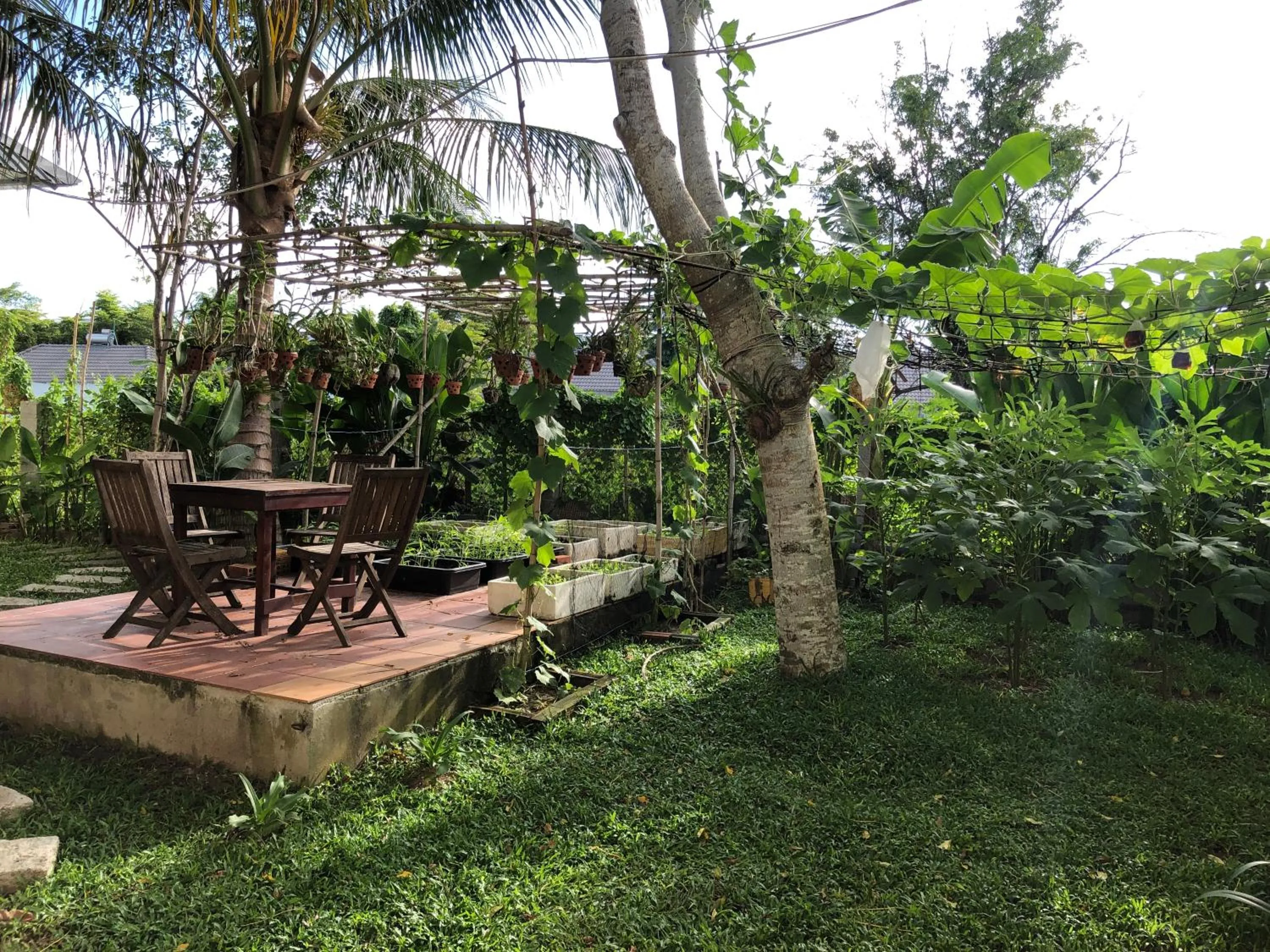 Garden in Tropical Garden Phu Quoc