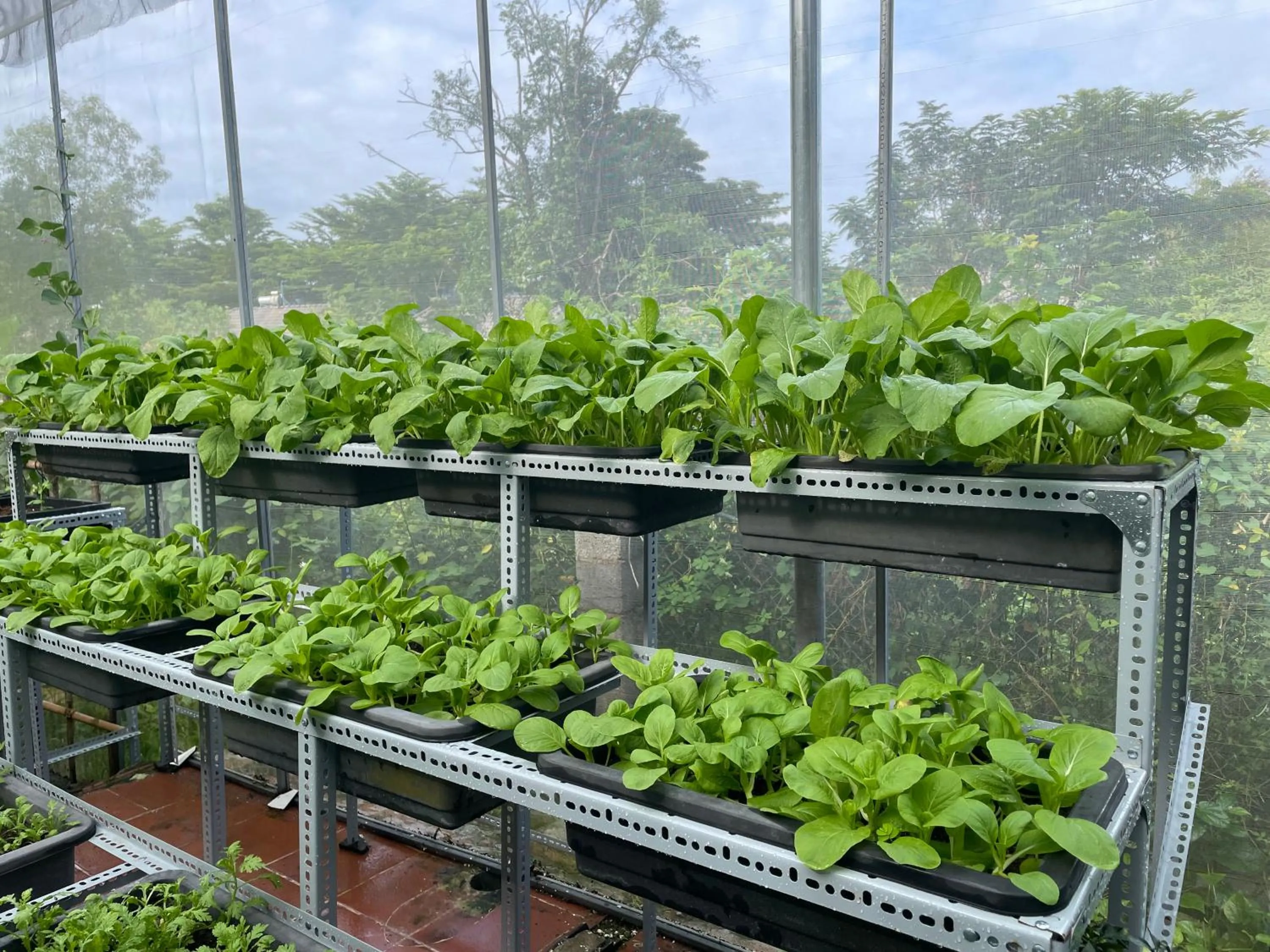 Garden in Tropical Garden Phu Quoc