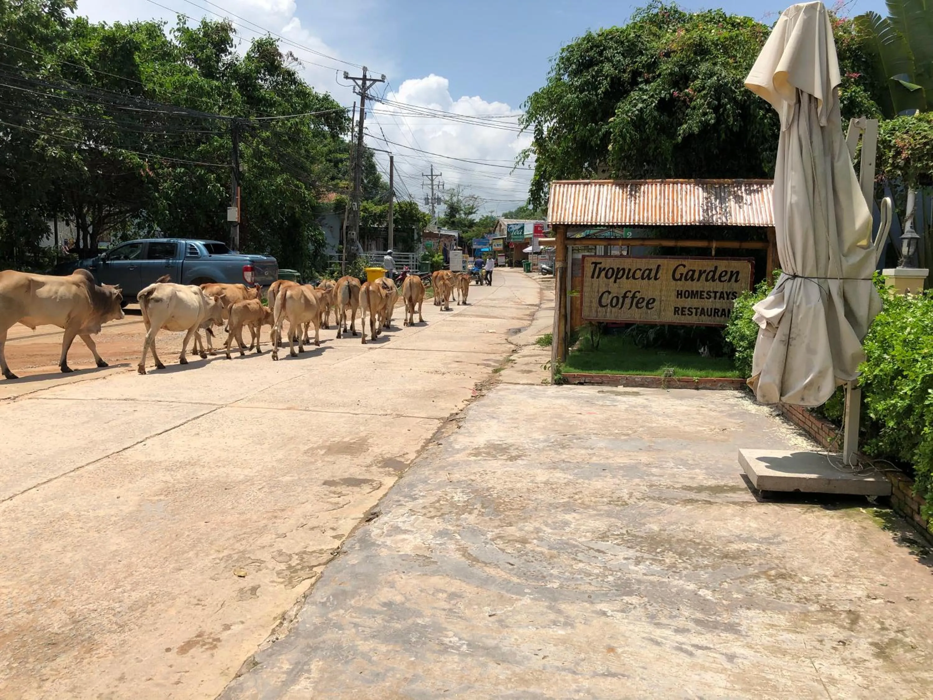 Neighbourhood in Tropical Garden Phu Quoc