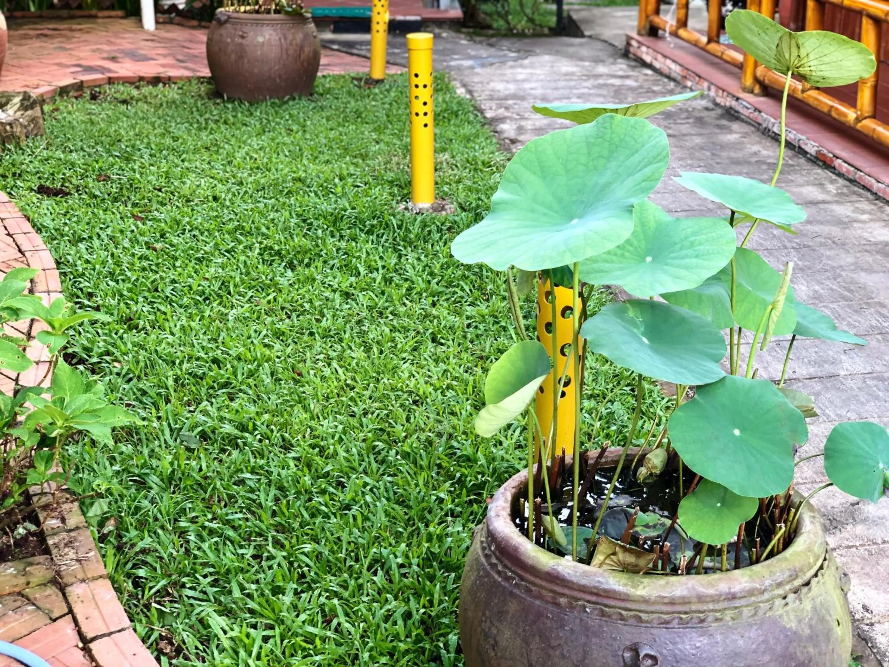 Garden in Tropical Garden Phu Quoc